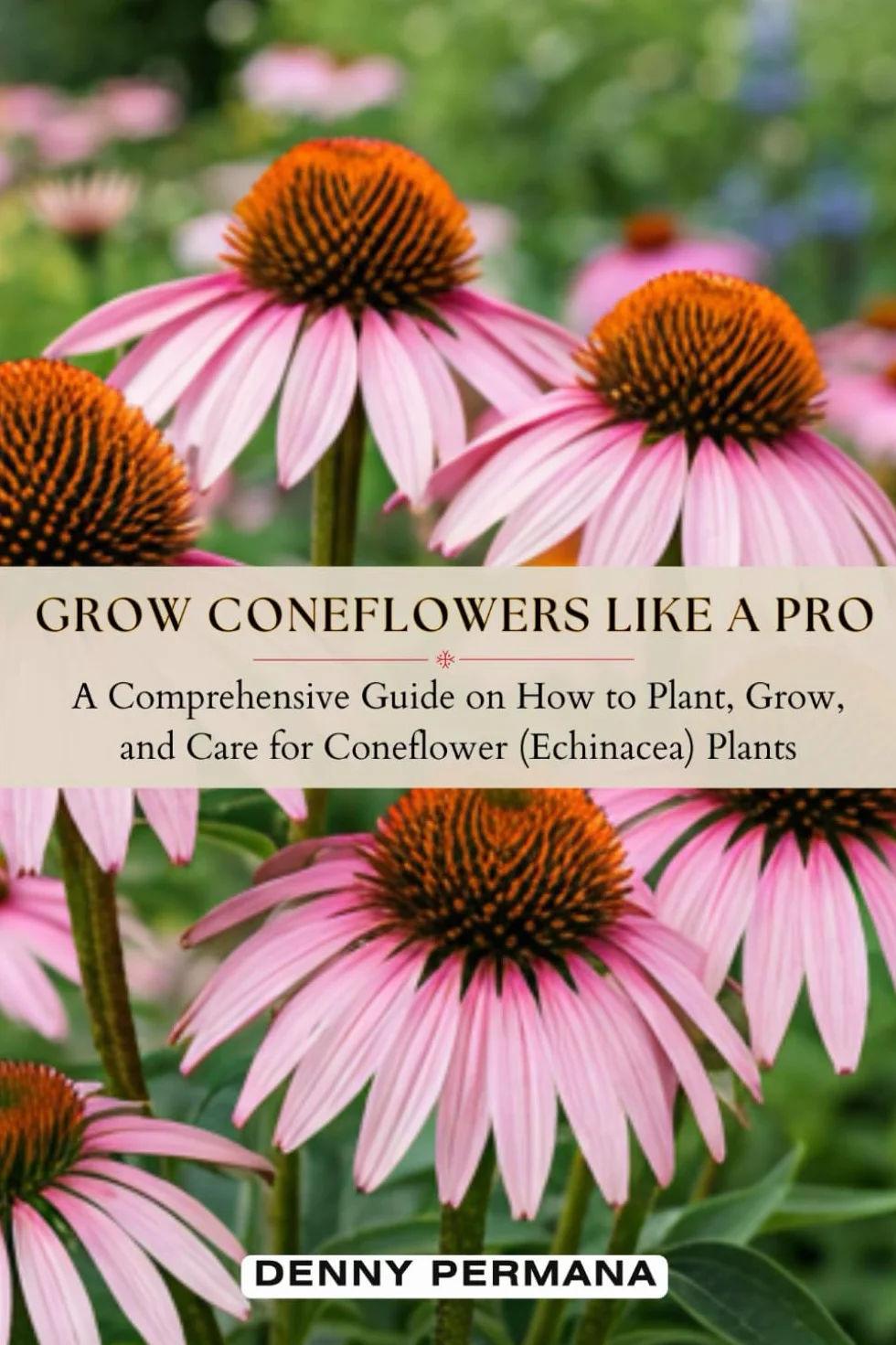 Grow Coneflowers Like a Pro: How to Plant, Grow, and Care for Healthy Coneflower Echinacea Plants