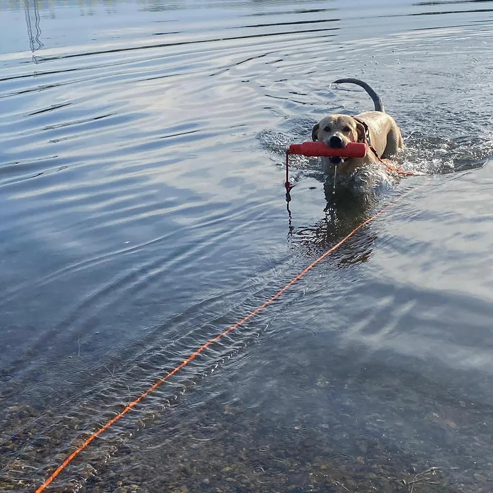 Smycz pływająca dla psa, solidna smycz wodna bez paska na nadgarstek, unosi się na wodzie, różne długości, średnica 6 mm, ręcznie robiona w Niemczech (20 m)