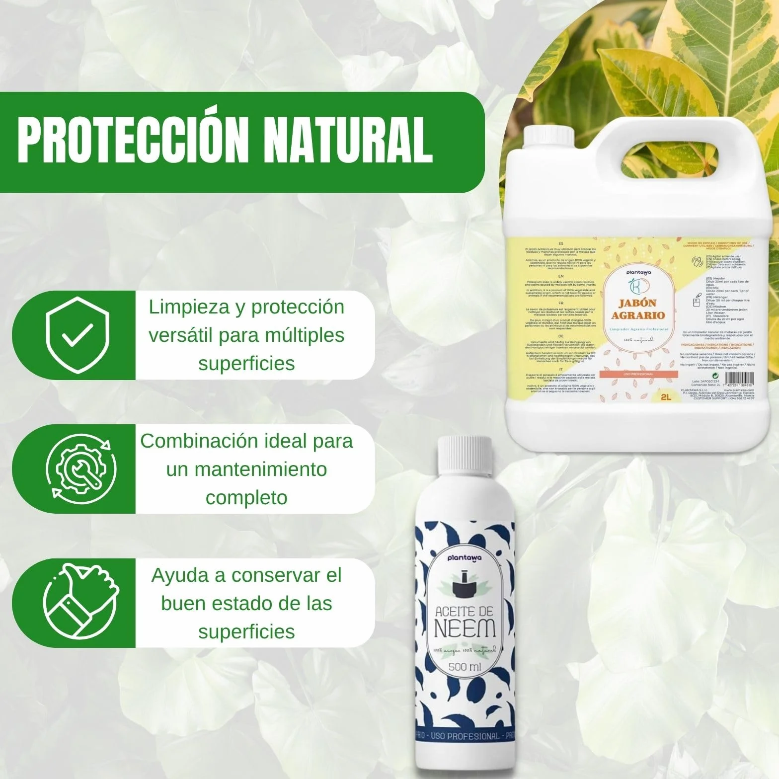 PLANTAWA 2 l zestaw mydła potasowego + olej Neem 500 ml | Rozwiązanie uniwersalne | Łatwa aplikacja i maksymalna skuteczność | Wszechstronne | Zastosowanie wewnątrz i na zewnątrz | Produkty