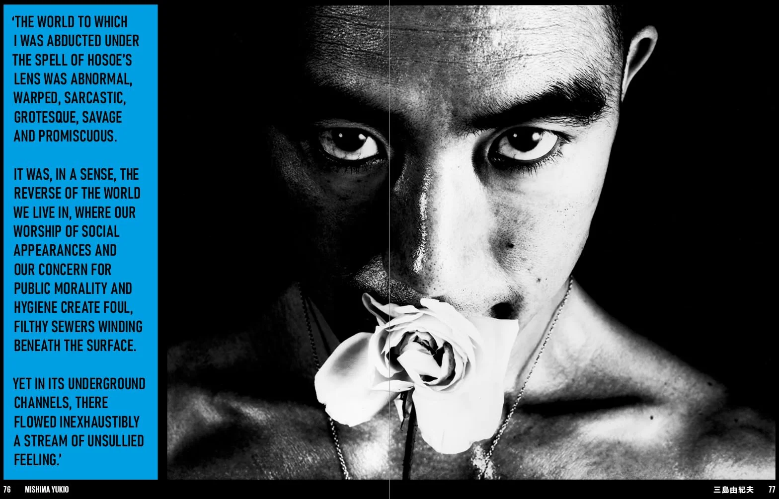 Japan Art Revolution: The Japanese Avant-Garde from Angura to Provoke /anglais