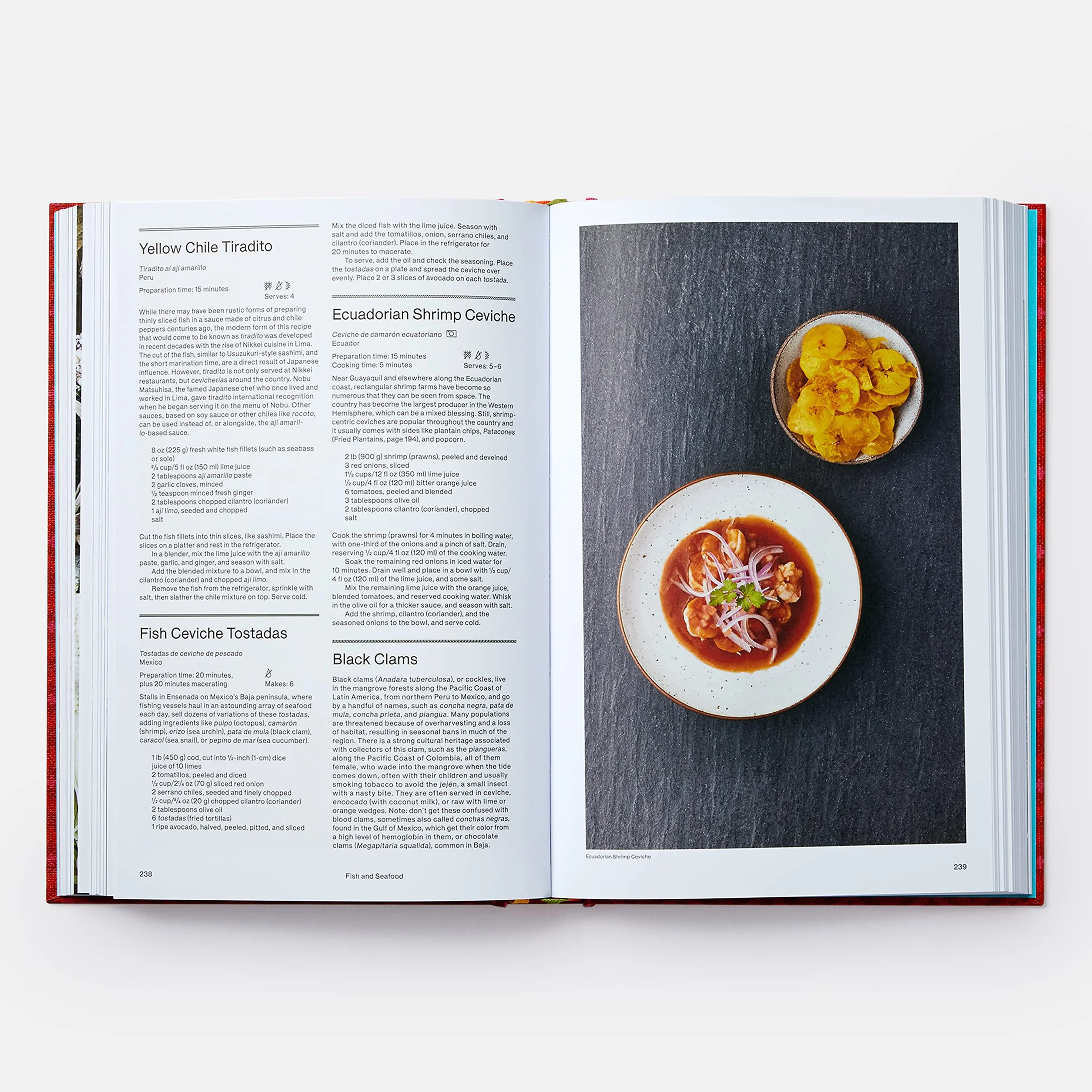 The latin american cookbook