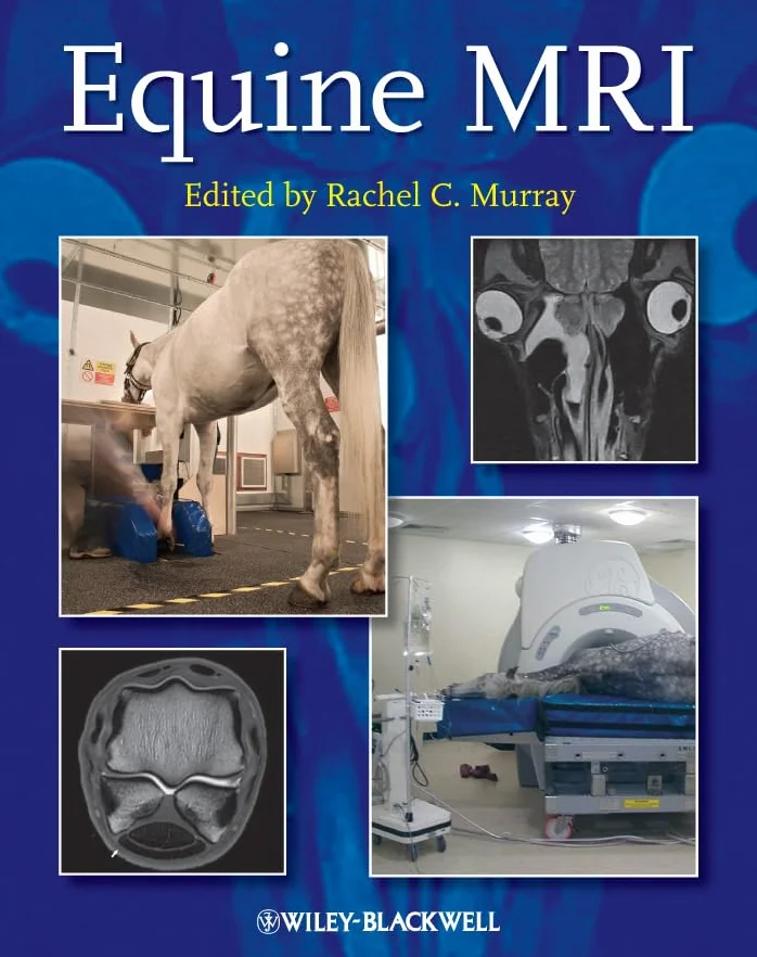 Equine MRI