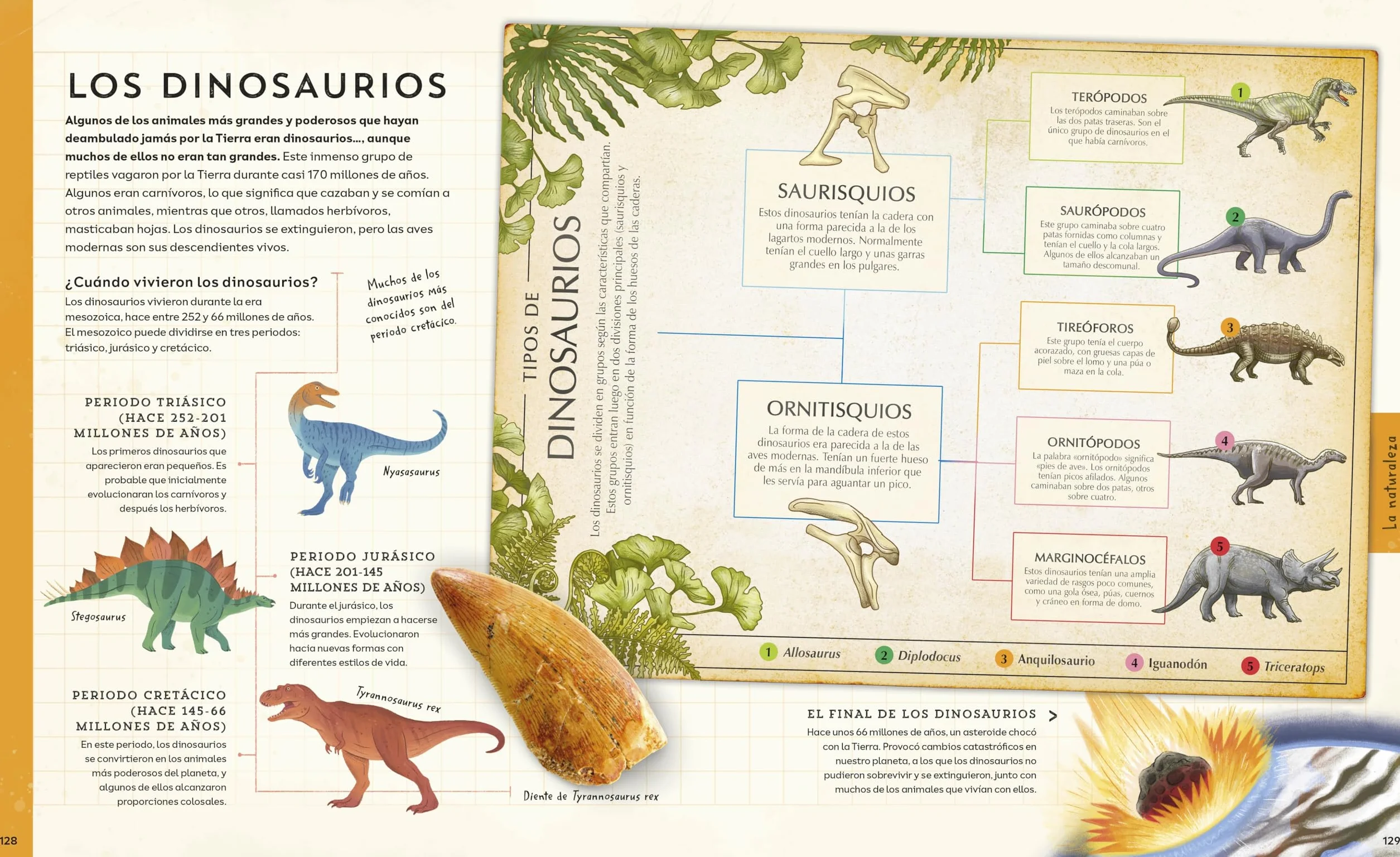 ¡explora! (Explore): Descubre Un Mundo de Conocimiento Con Cientos de Mapas Y Diagramas