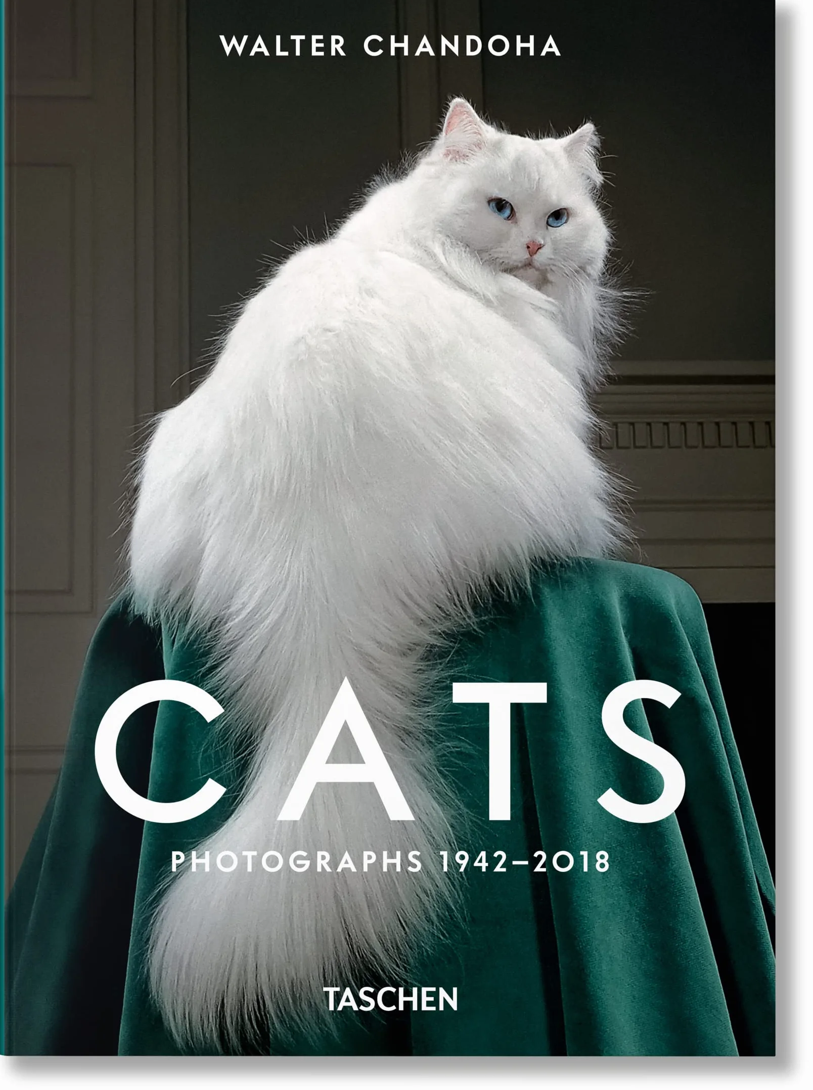 Walter Chandoha. Cats. Photographs 1942-2018