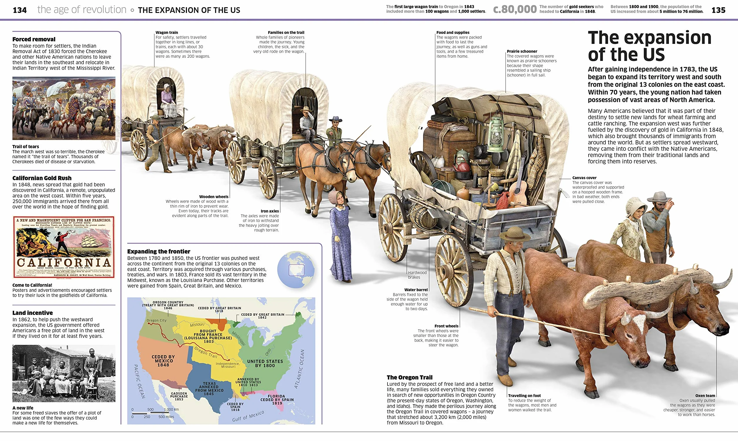 Knowledge Encyclopedia History!: The Past as You've Never Seen it Before (Knowledge Encyclopedias)