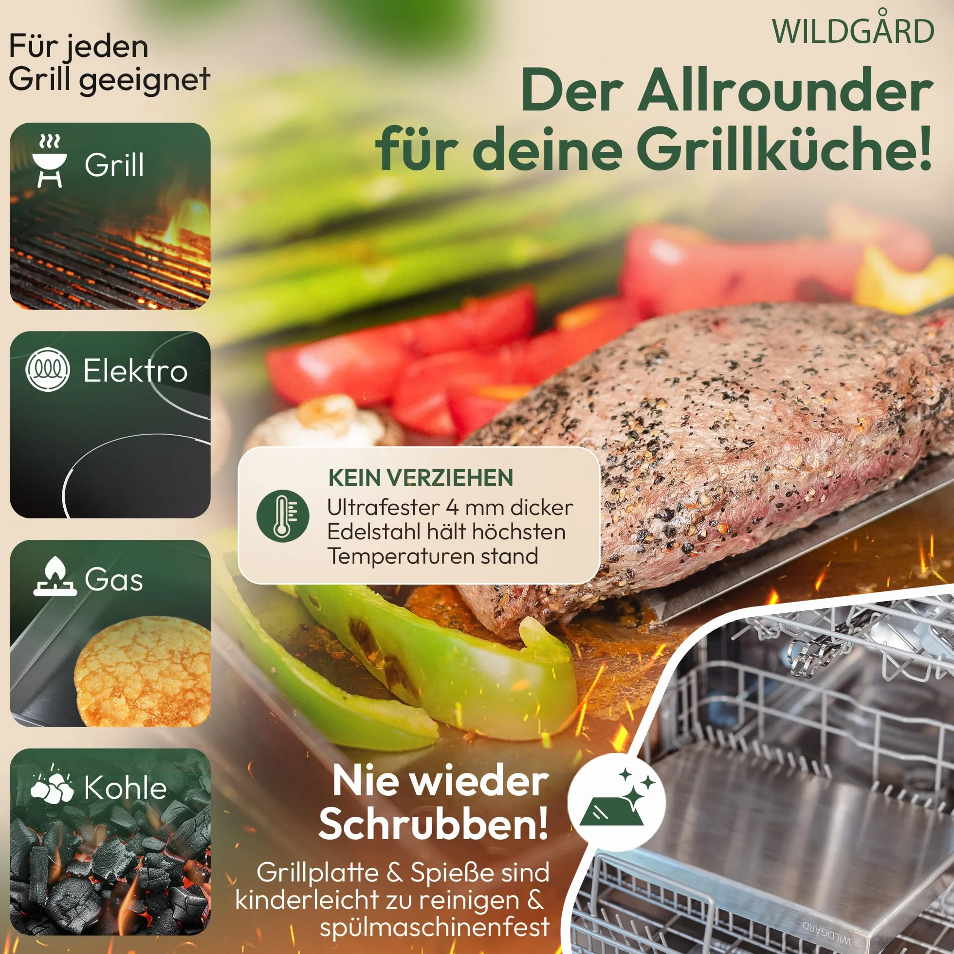 Plancha płyta grillowa z grubej i odpornej na rdzę stali nierdzewnej – 35 x 25 cm – płyta grillowa nadaje się do grilla gazowego BBQ i grilla na węgiel drzewny + 2 x szpatułki do grilla i 5
