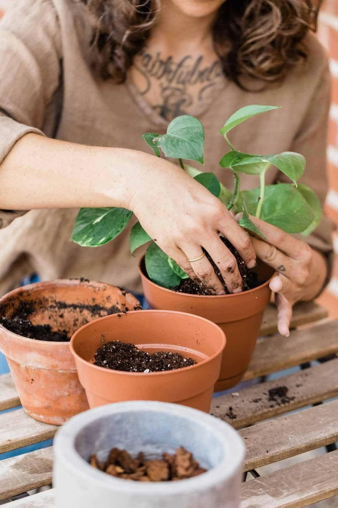 BIOVITA Podłoga uniwersalna 20 l wieloskładnikowa gleba do roślin gotowa do użycia gleba pochodzenia naturalnego