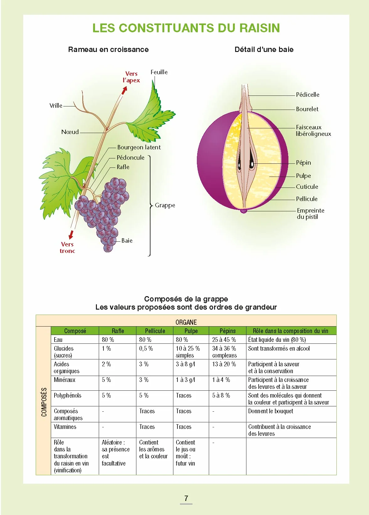 Les vins de France et du monde - Repères pratiques
