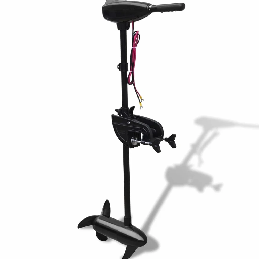 vidaXL Elektryczny silnik do trollingu, P25, 55 lbs
