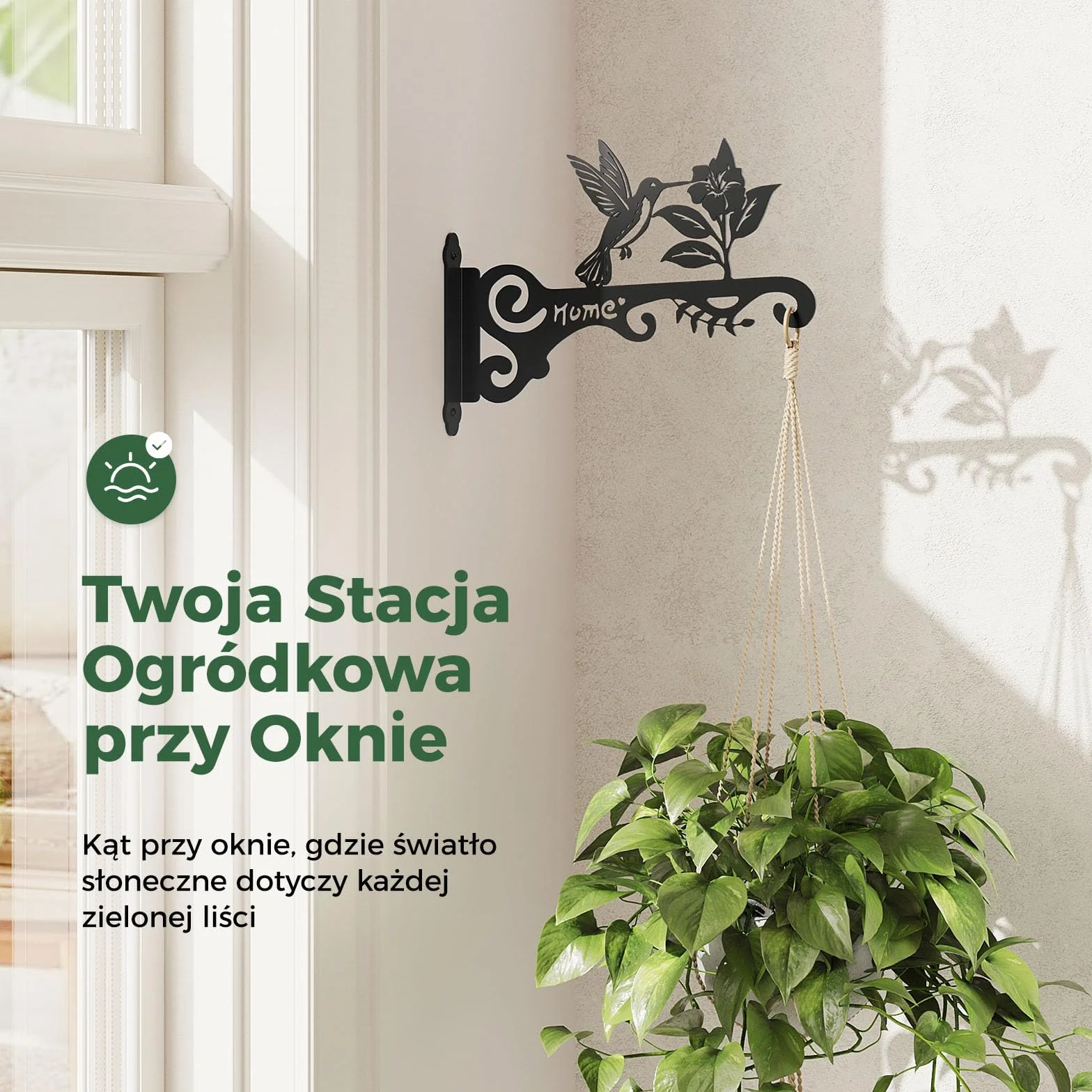 Bamworld Wieszak na Kwiaty 2 Szt. Dekoracyjny Wiszący Kwietnik ze Złotym Kolibrem, Mocny Hak Ścienny i Sufitowy do Zawieszania Roślin, Lampionów, Dzwonków Wietrznych