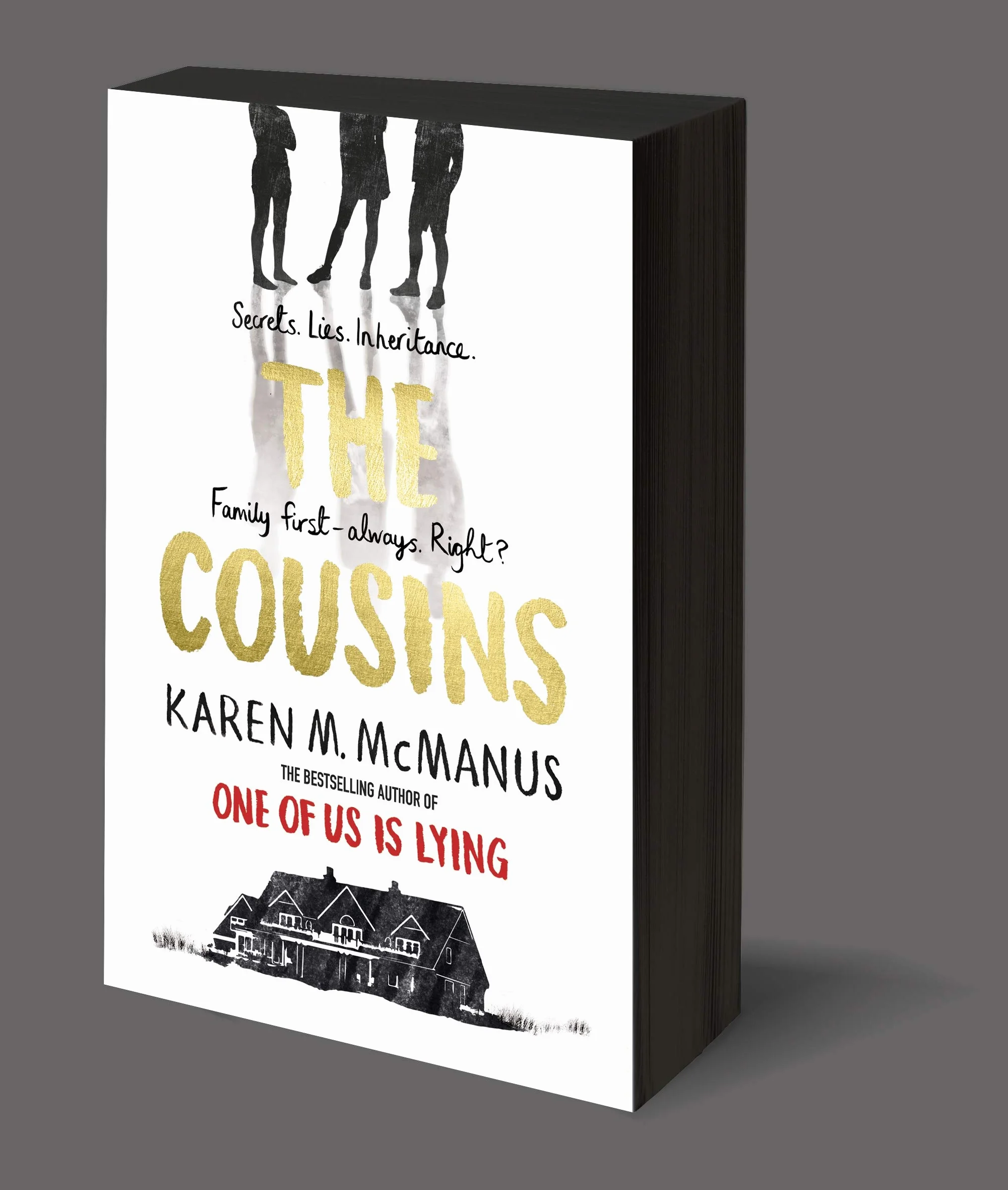 The Cousins: A twisty, explosive YA thriller from the bestselling author of One of Us is Lying