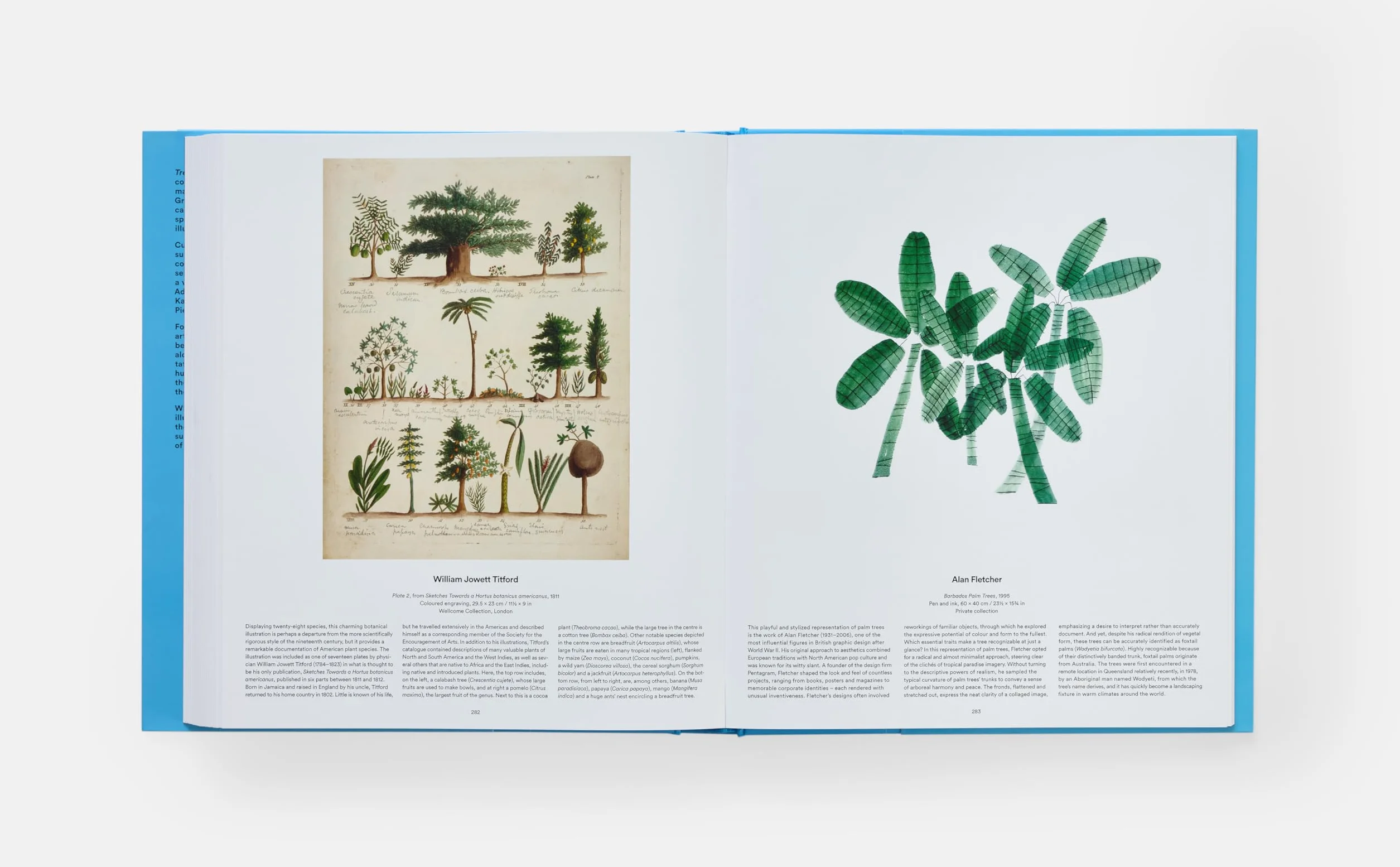 Tree: Exploring the Arboreal World