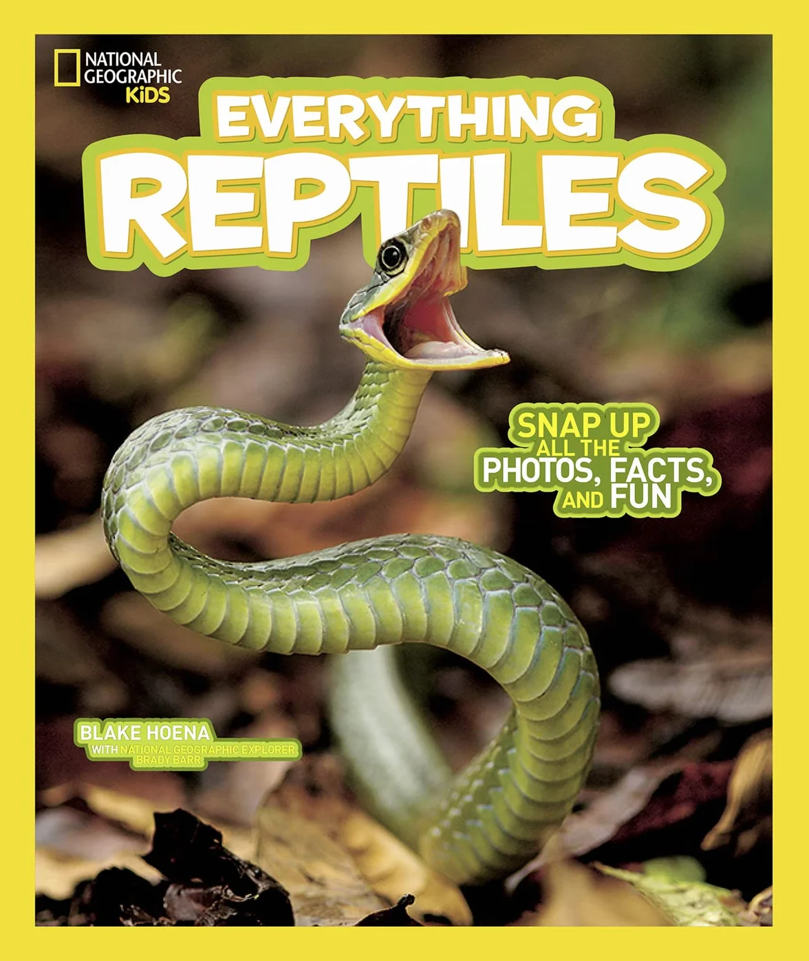 Everything Reptiles: Snap Up All the Photos, Facts, and Fun