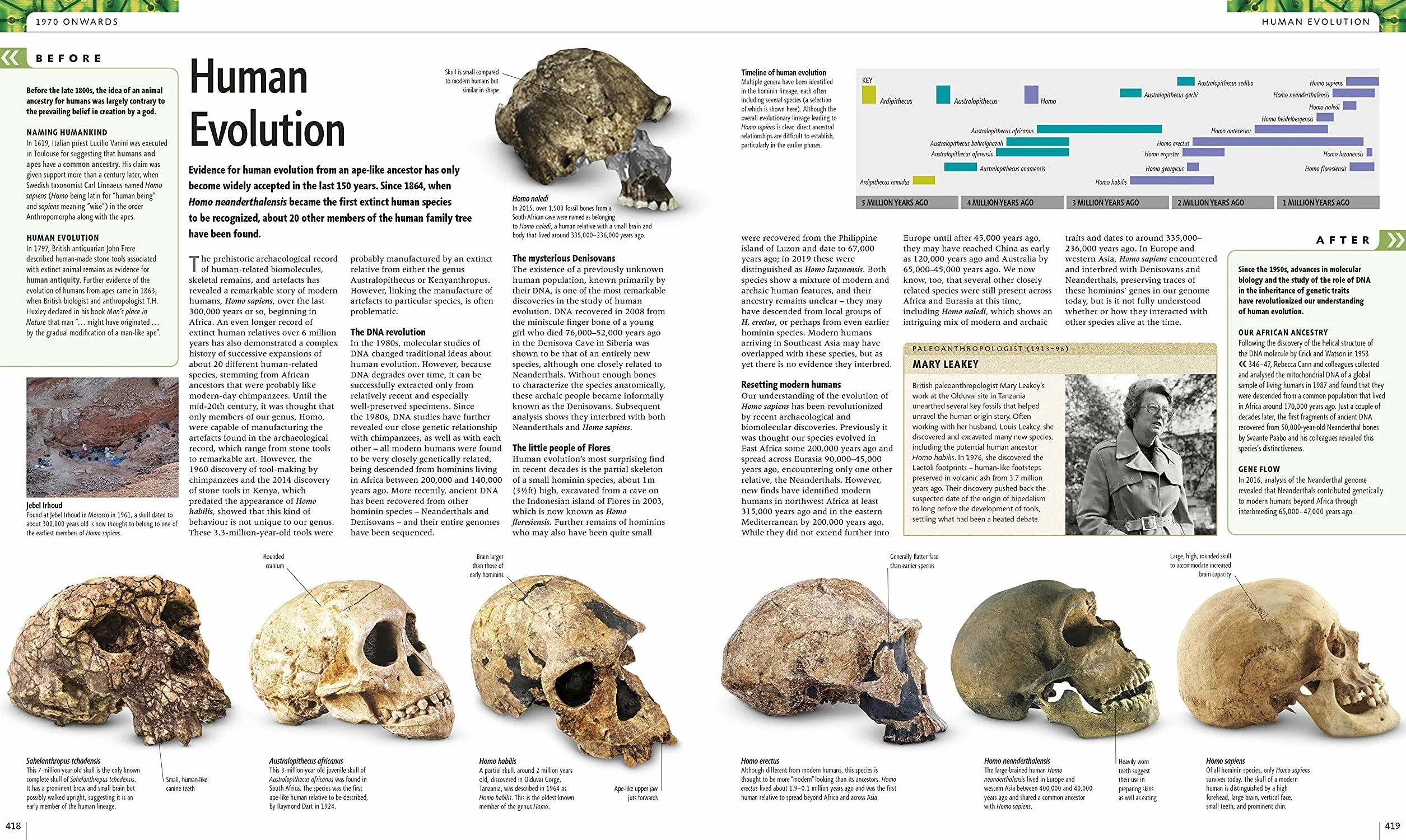 Science: The Definitive Visual Guide