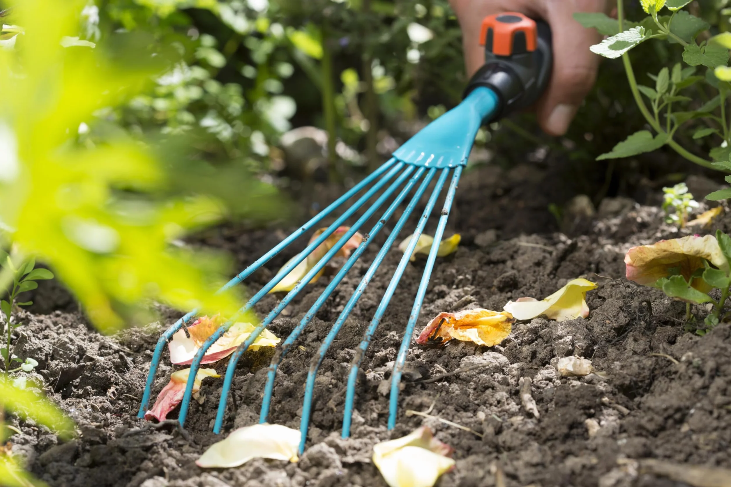 Gardena combisystem grabki: małe grabki oczyszczania grządek oraz napowietrzania powierzchni porośniętych mchem, wyjątkowo wytrzymałe, szerokość robocza 12 cm (8917-20)