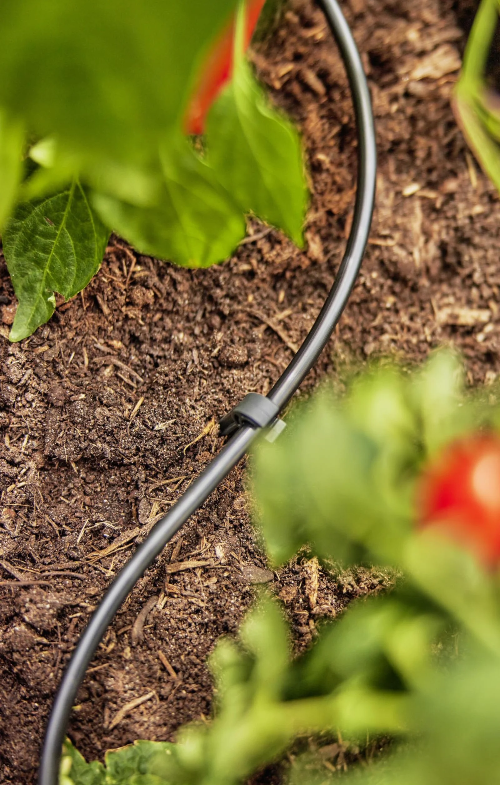 Gardena Micro-Drip system rura rozdzielcza: elastyczna rura doprowadzająca, 4,6 mm (3/16"), do montażu naziemnego i podziemnego, odporna na promieniowanie UV, 50 m (1348-20)