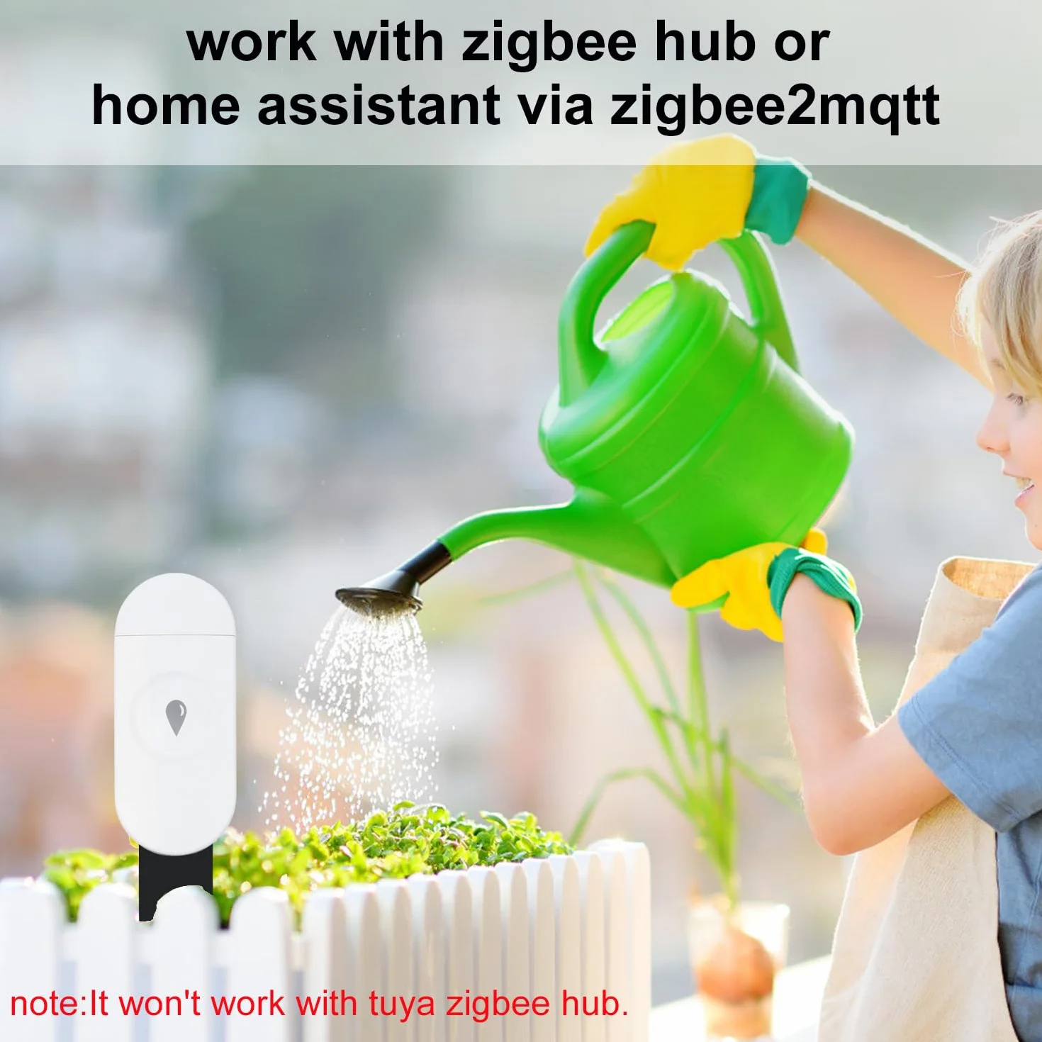 Inteligentny czujnik wilgotności gleby Haozee, wymaga koncentratora Zigbee, higrometru/termometru do sadzenia w ogrodzie, kompatybilny z Home Assistant Zigbee2mqtt