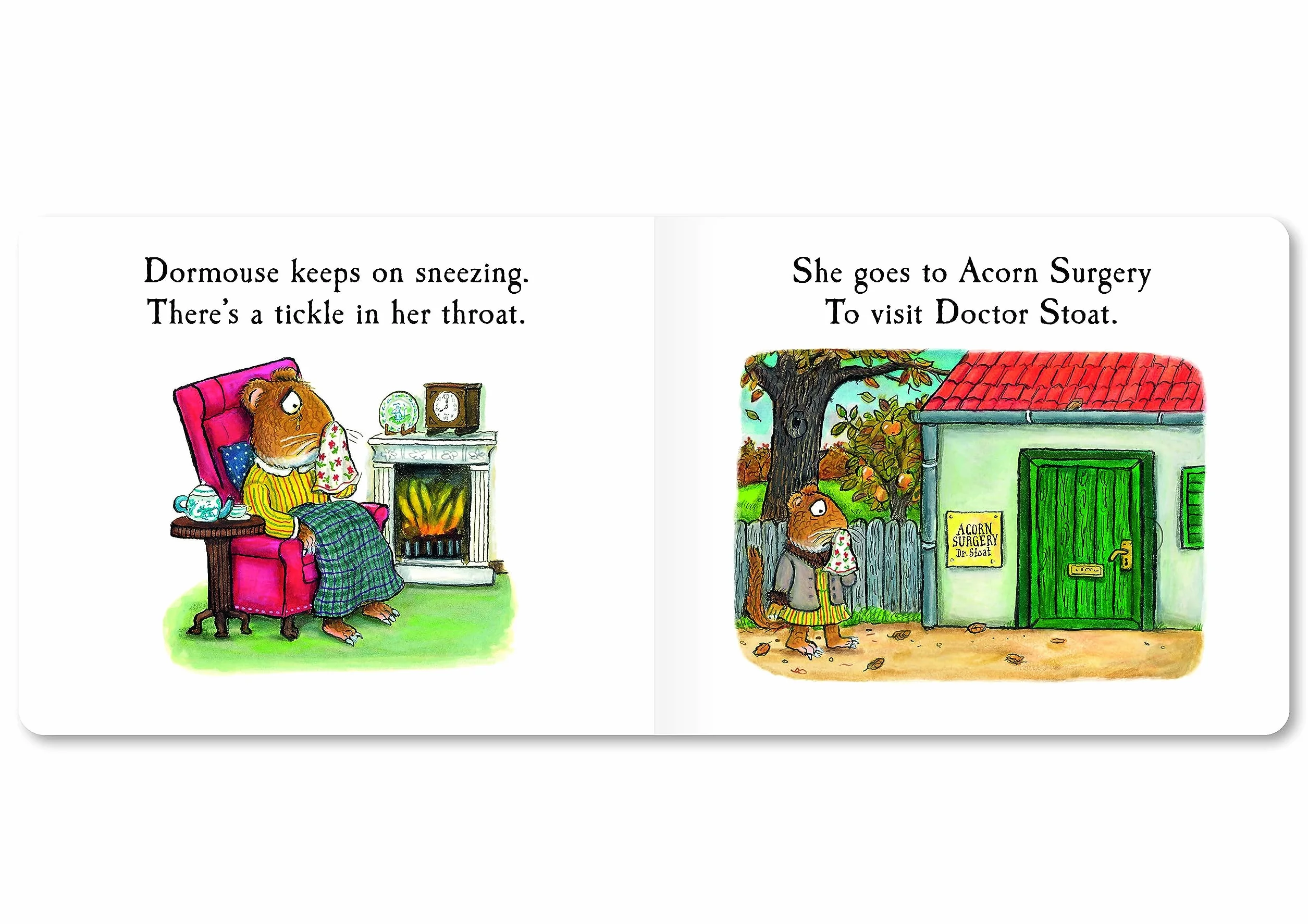 Dormouse Has a Cold: A Lift-the-flap Story (9)