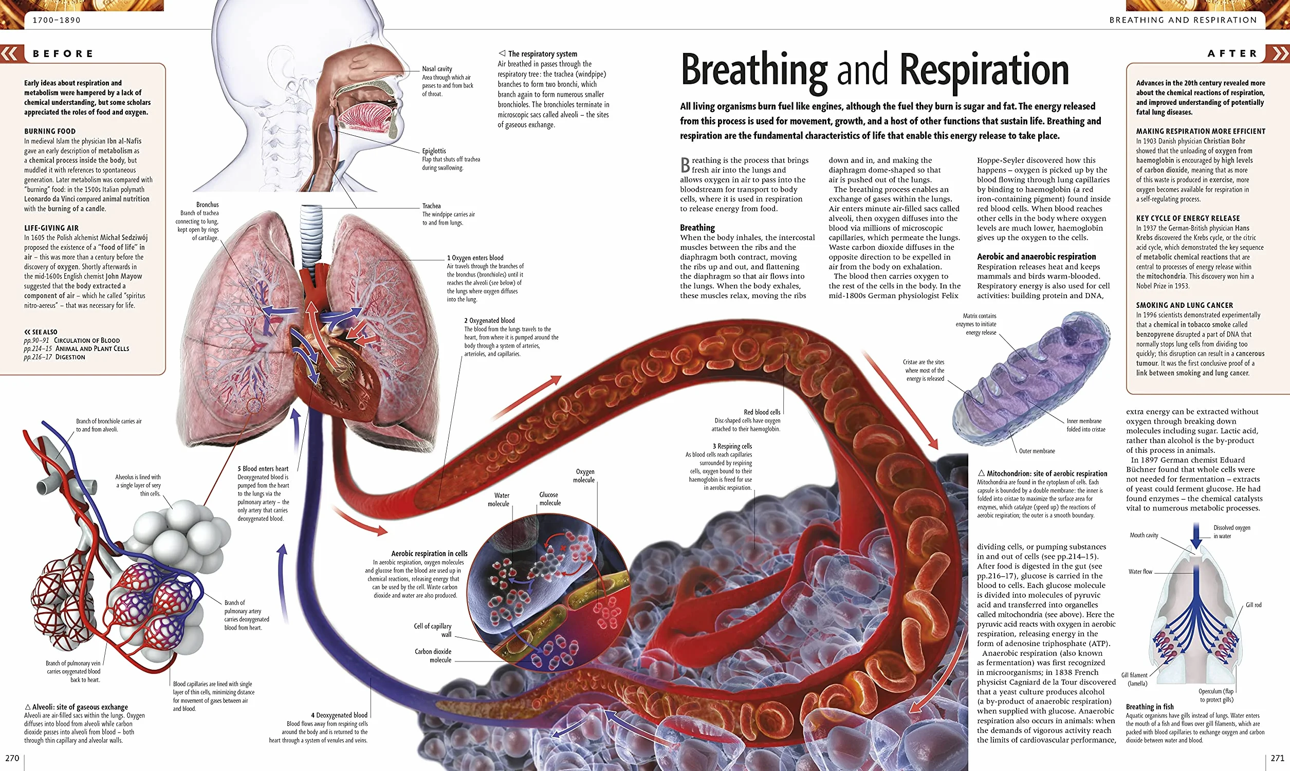 Science: The Definitive Visual Guide