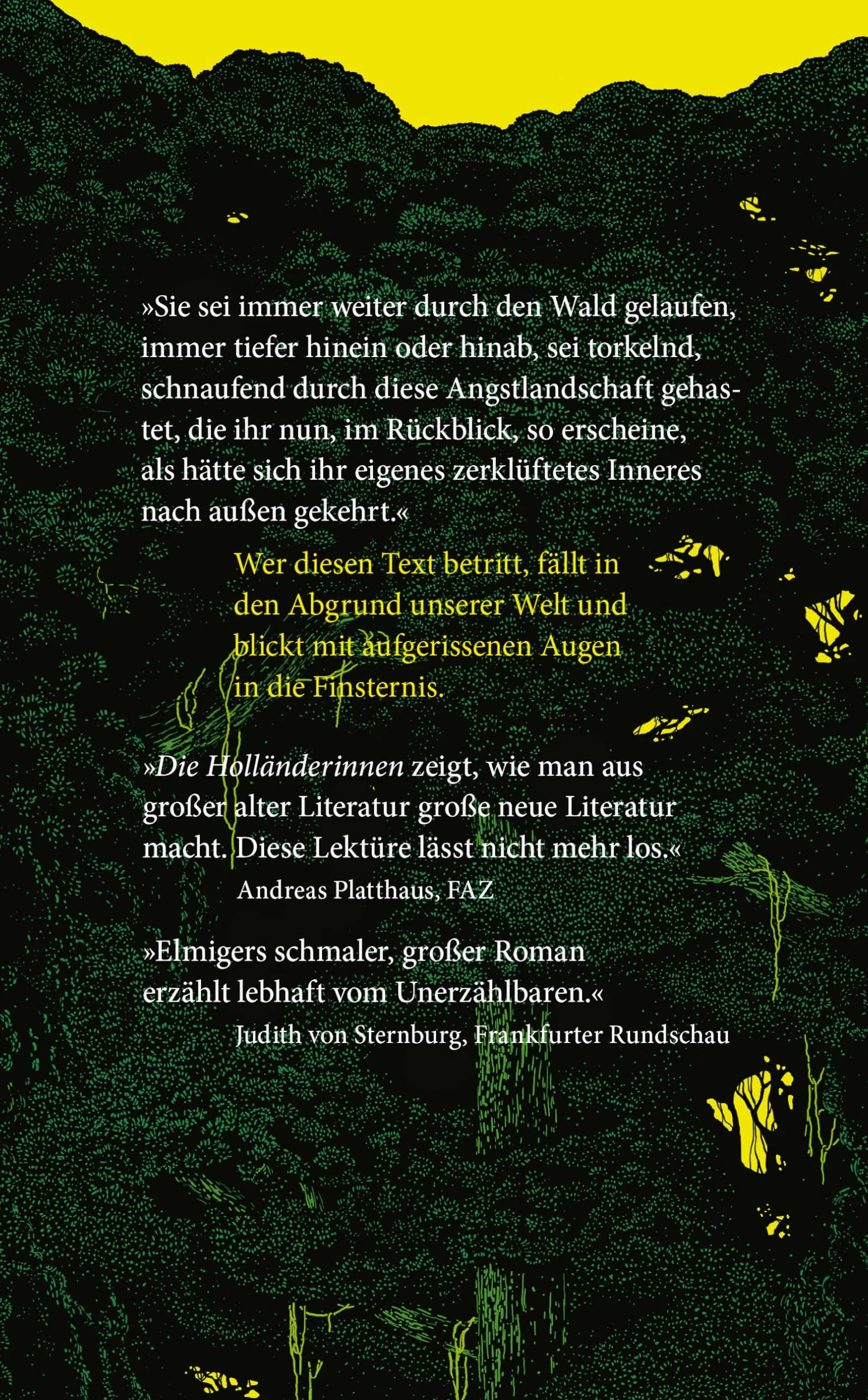 Die Holländerinnen: Roman. Ausgezeichnet mit dem Deutschen Buchpreis 2025