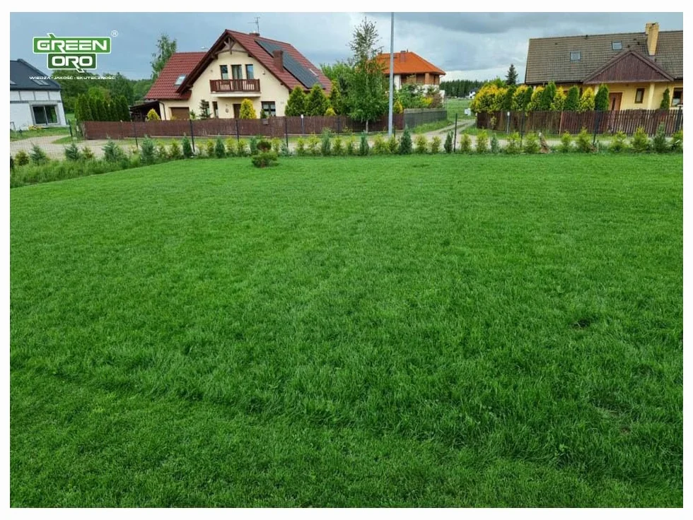 CHISSO SAI SEI 10KG - Regeneracyjny nawóz do trawników, wspierający zdrowy i gęsty wzrost trawy.