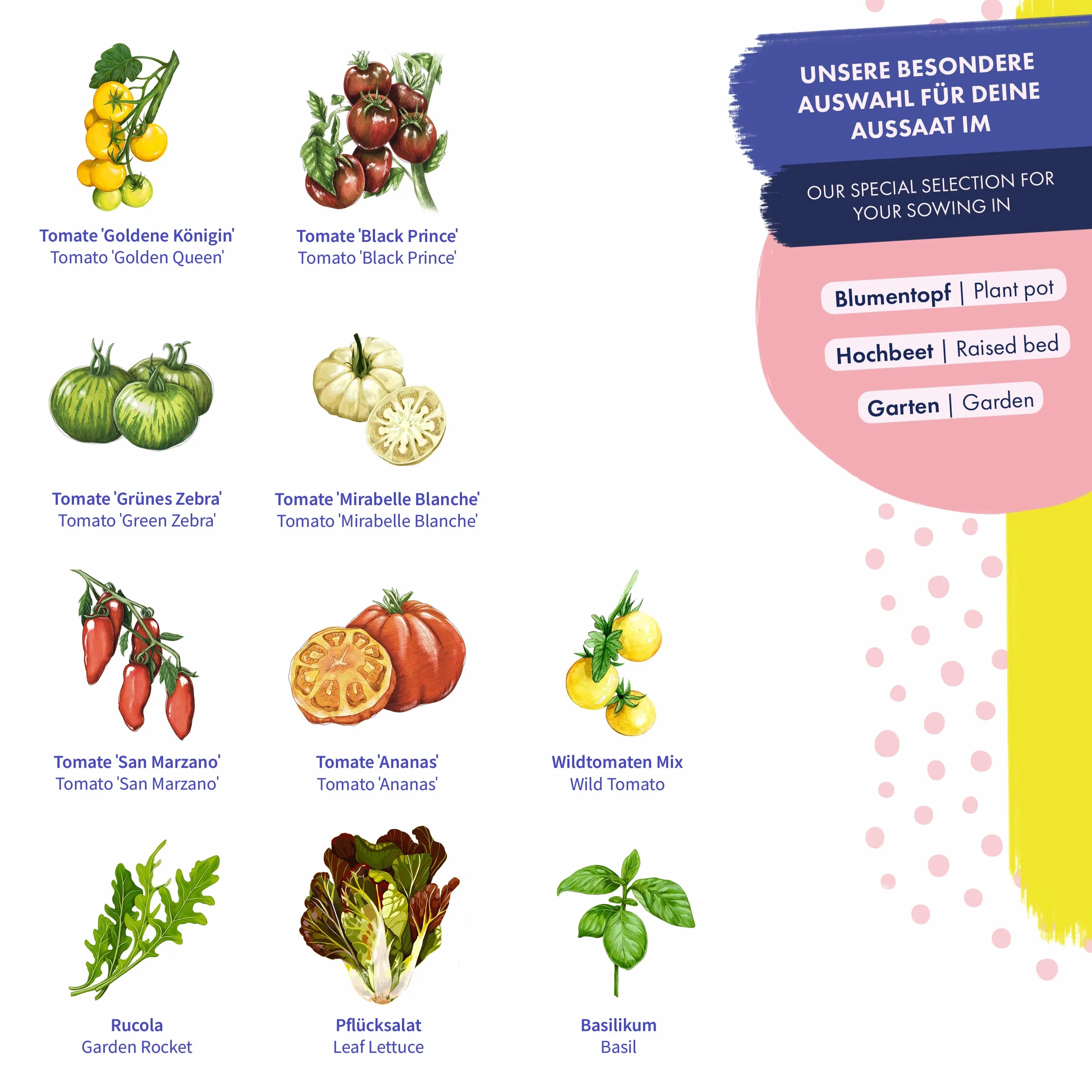 Tomatoes & Friends - 10 odpornych na nasiona odmian pomidorów i ziół - kolorowych i pysznych - zestaw nasion startowych na drobny prezent lub do użytku osobistego