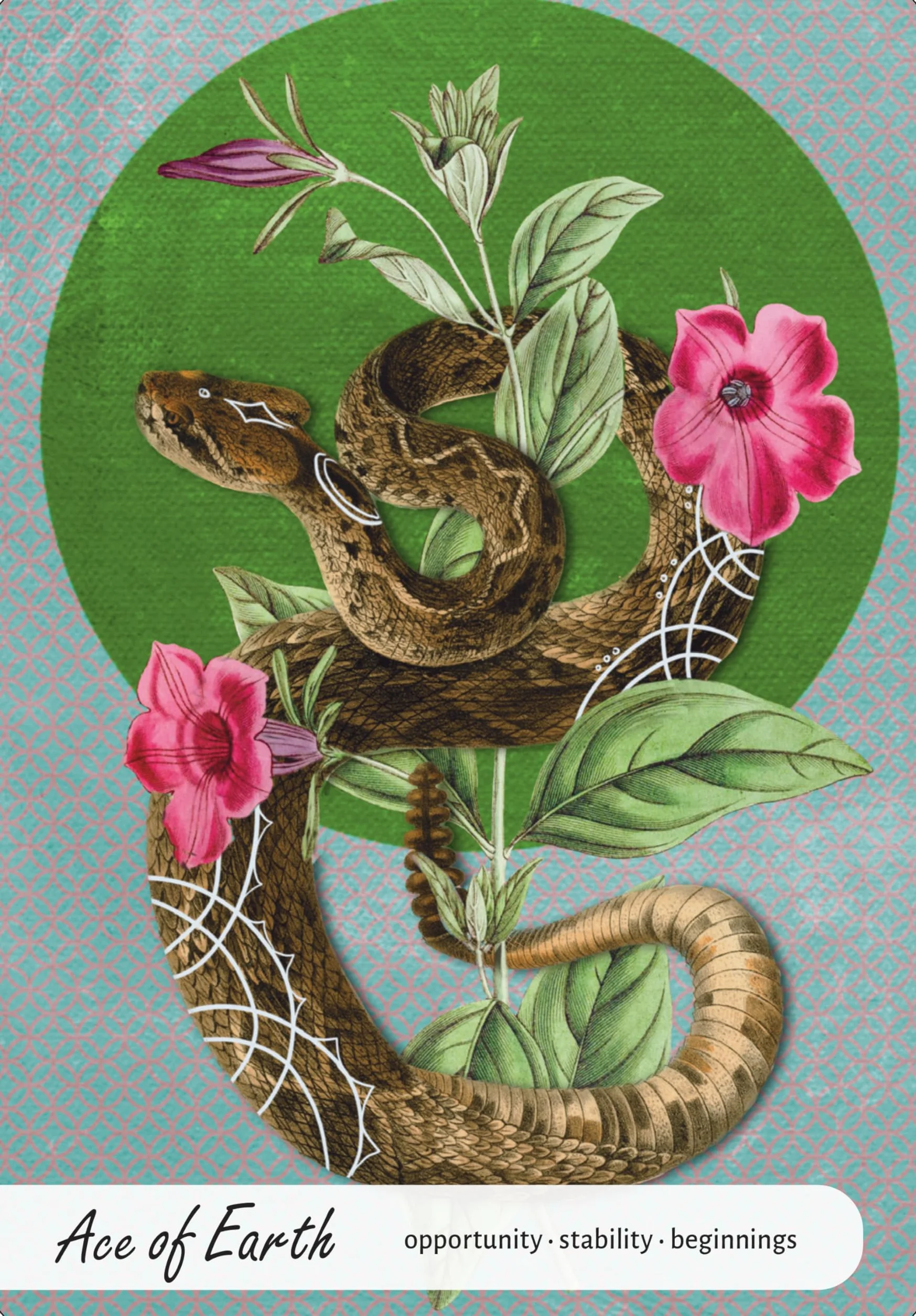 Wise Earth Medicine Tarot: (78 Full-Color Cards and 96-Page Full-Color Guidebook)
