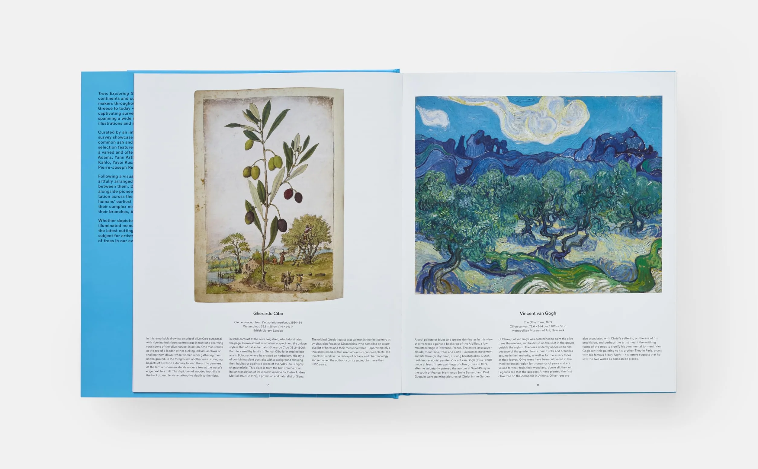Tree: Exploring the Arboreal World