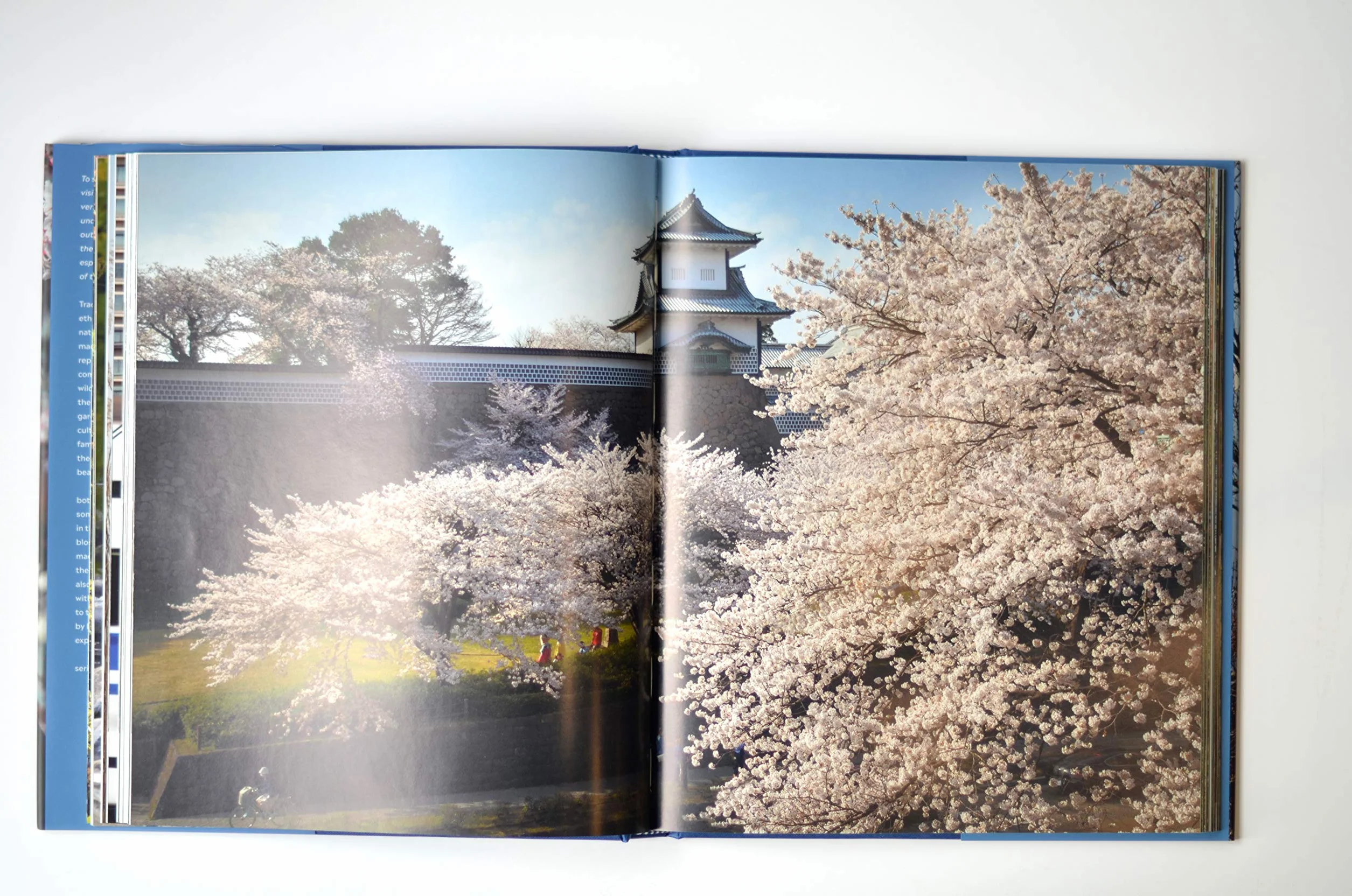 Japanese Gardens: A Journey