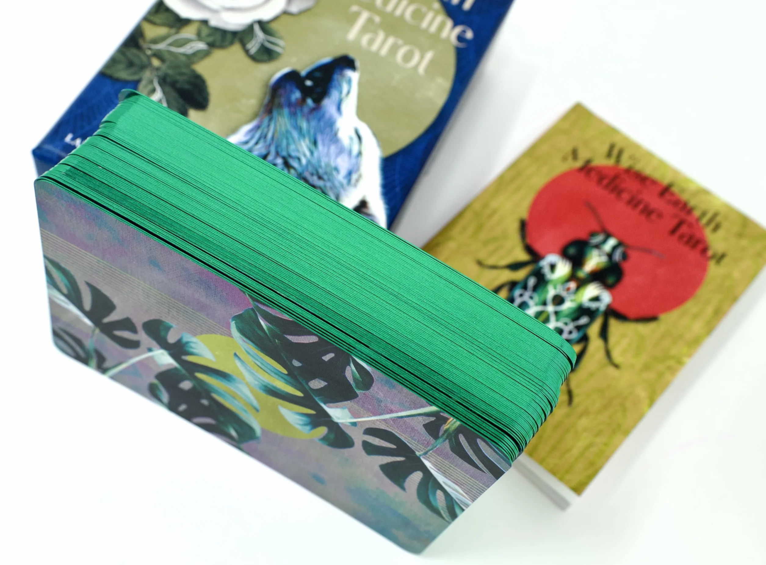 Wise Earth Medicine Tarot: (78 Full-Color Cards and 96-Page Full-Color Guidebook)