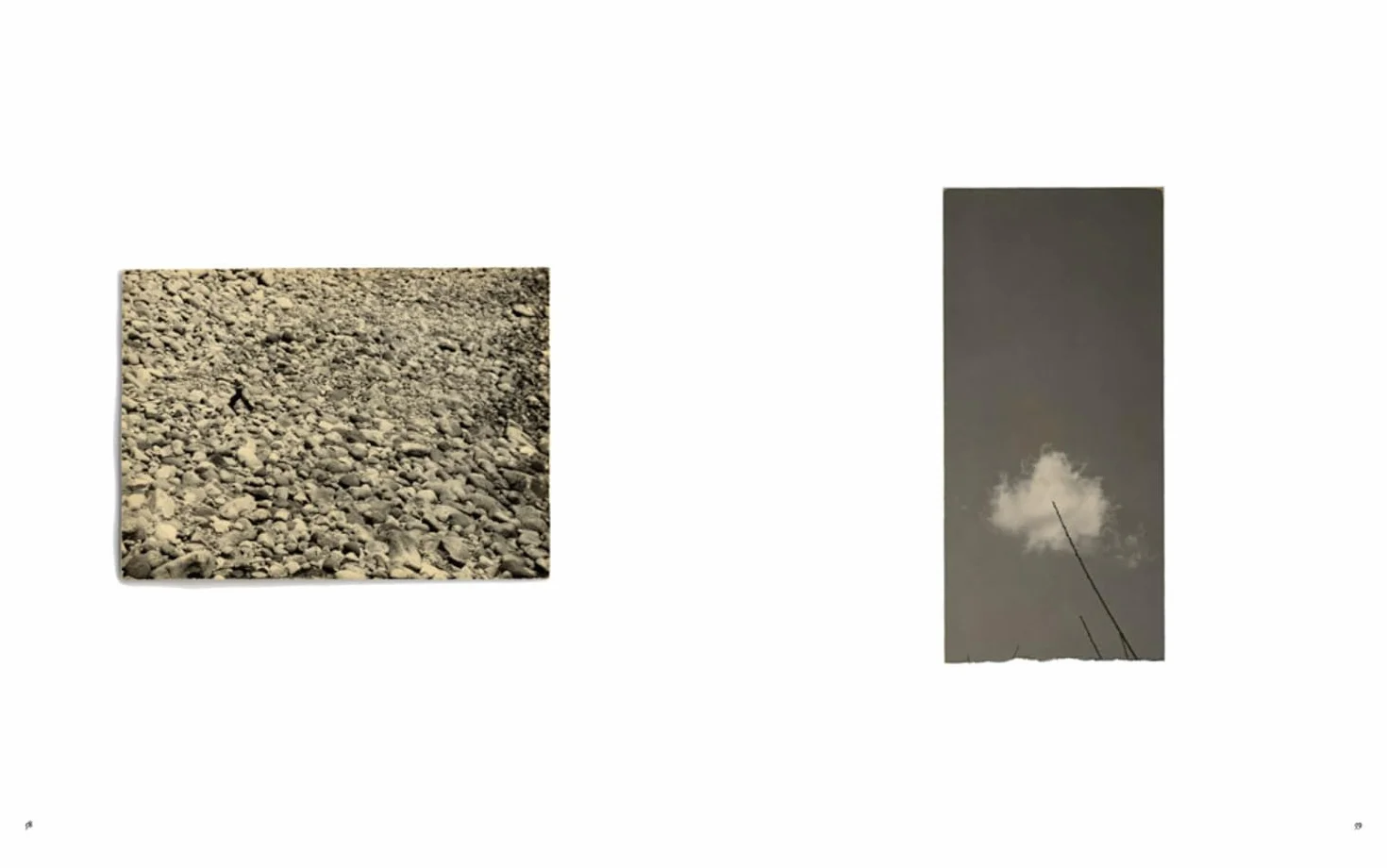 Masao Yamamoto Small Things in Silence (New Edition) /anglais/japonais: Third Edition