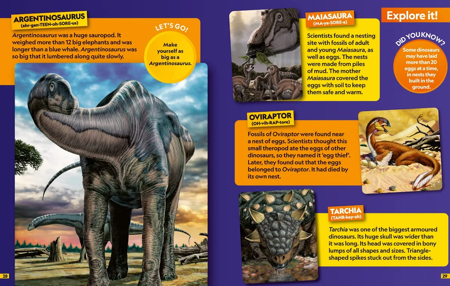 Dinosaurs Find it! Explore it!: More than 250 things to find, facts and photos!