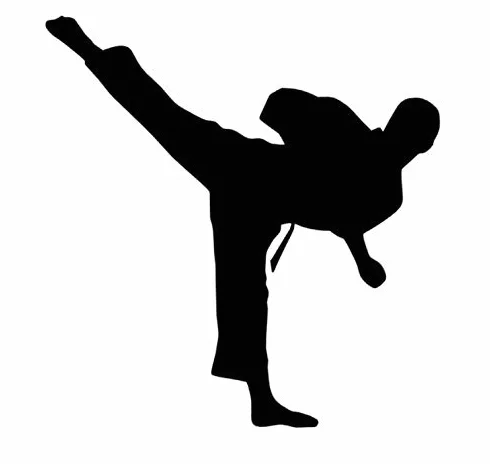 Naklejka do karate 10 cm 15 cm 20 cm kickboxing sztuki walki naklejka na samochód wojownik karate ciemnoszary matowy