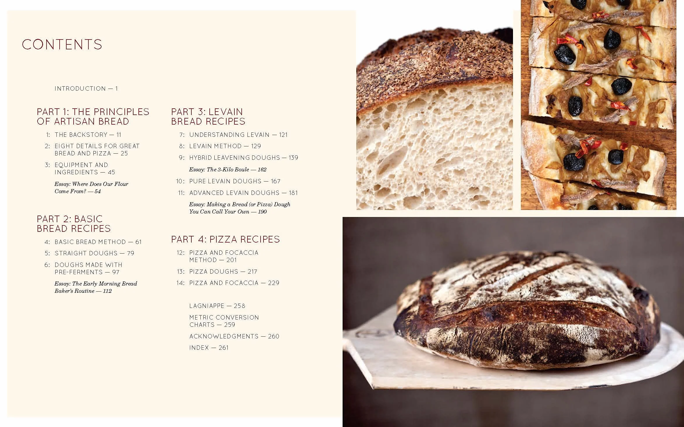 Flour Water Salt Yeast: The Fundamentals of Artisan Bread and Pizza [A Cookbook]