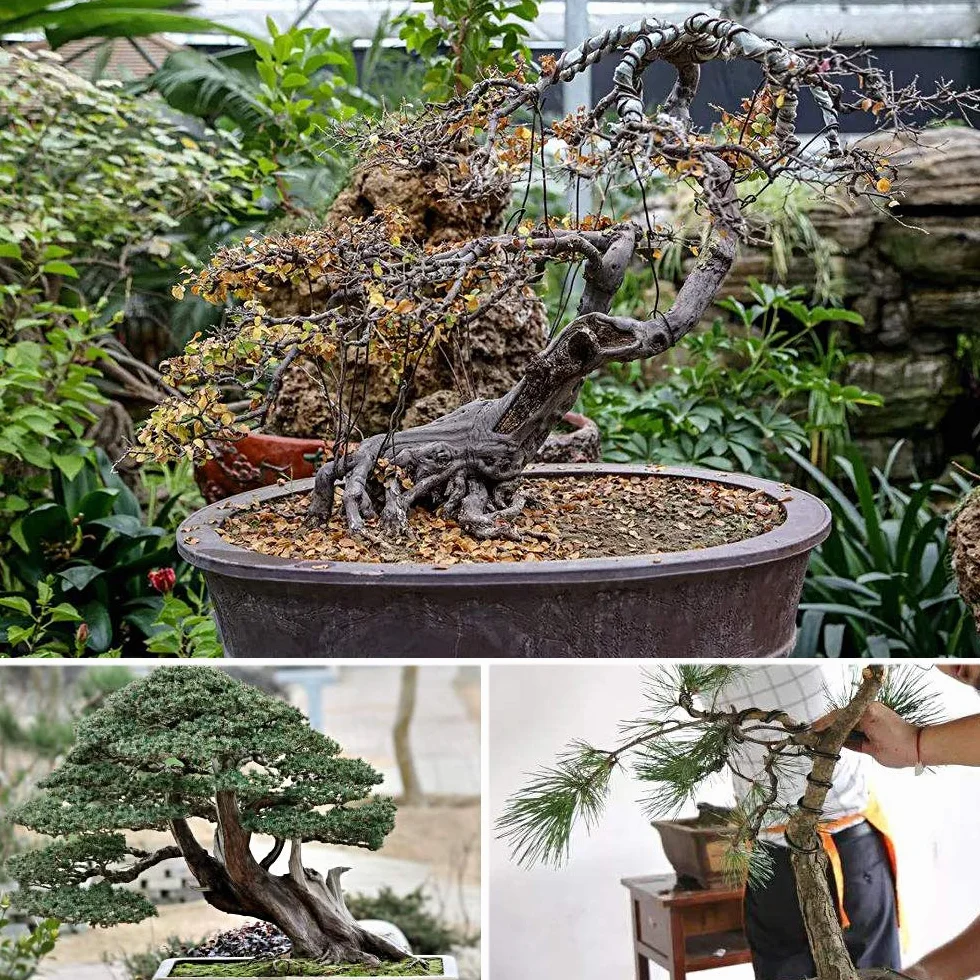 Druty treningowe do drzewa bonsai, 3 rozmiary, 1 mm, 1,5 mm, 2 mm, aluminiowy drut treningowy, bonsai, czarny drut ogrodowy do kształtowania drzewa bonsai