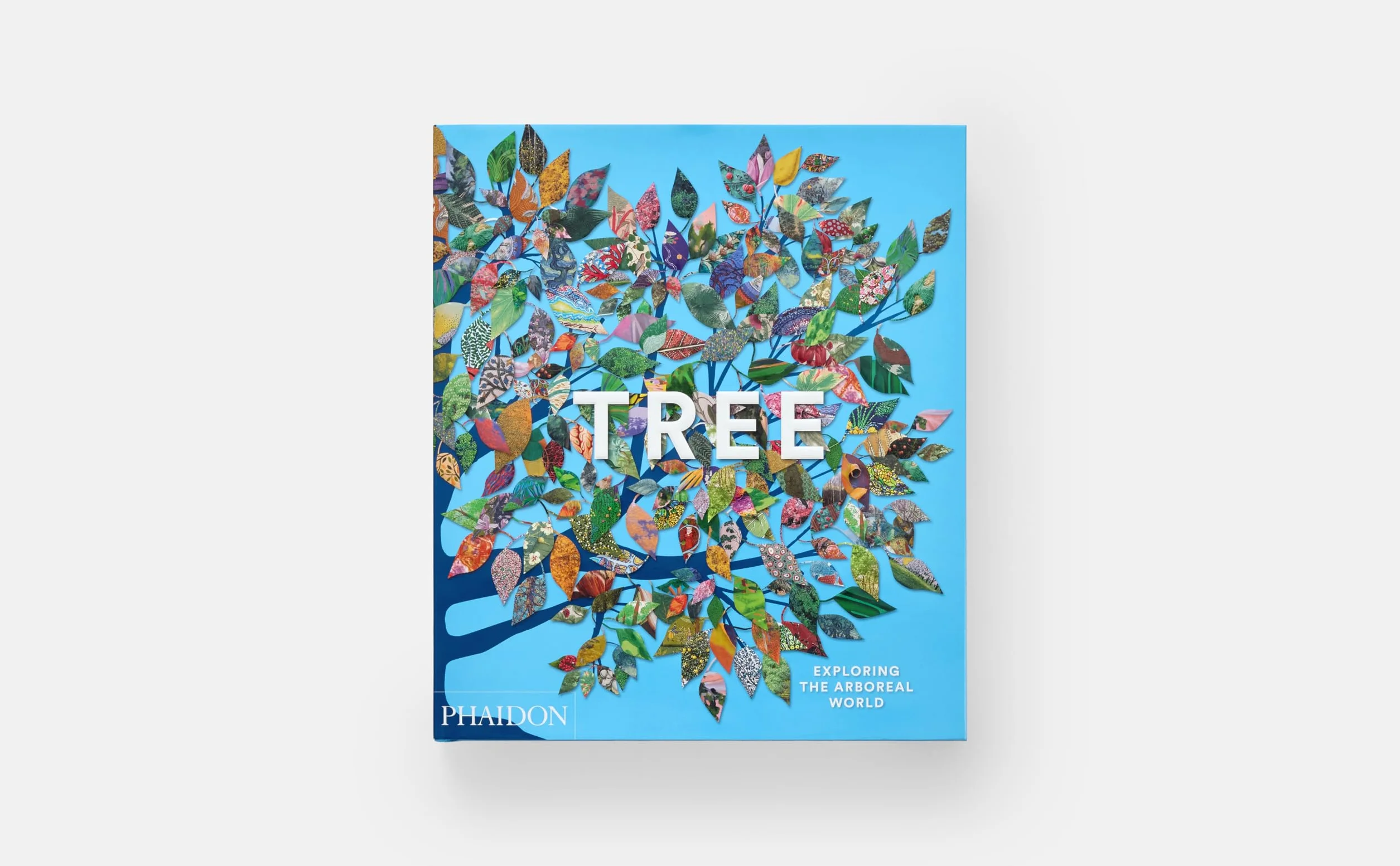 Tree: Exploring the Arboreal World