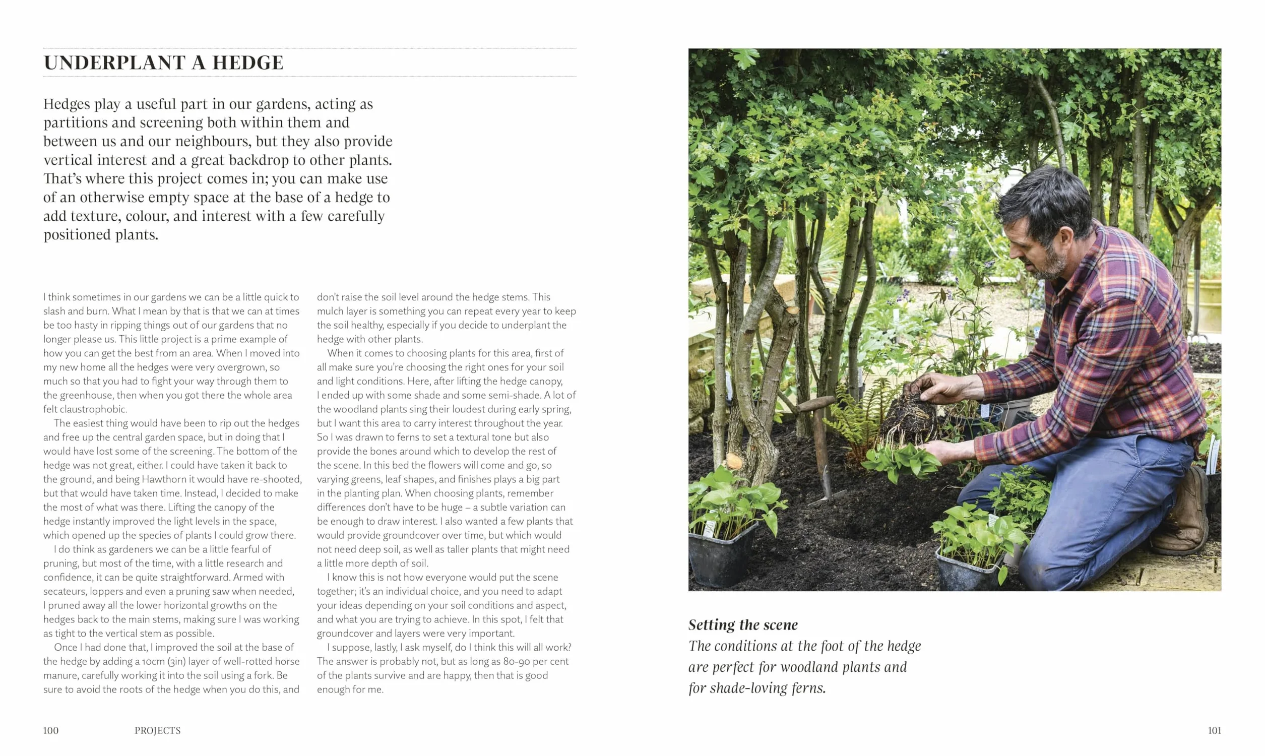 For the Love of Plants: Over 150 Plants to Bring Joy to Your Garden and Your Life