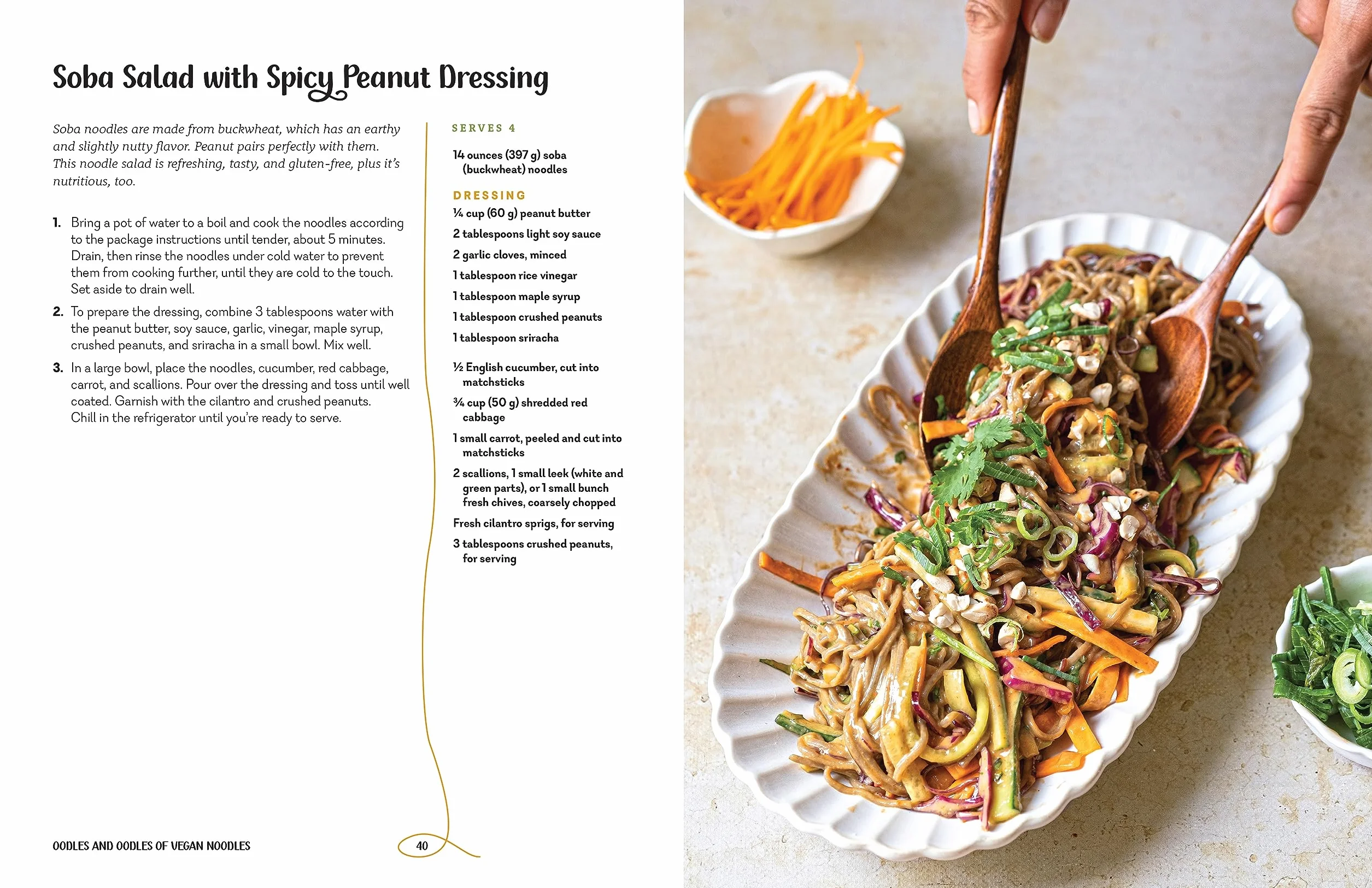 Oodles and Oodles of Vegan Noodles: Soba, Ramen, Udon & More - Easy Recipes for Every Day