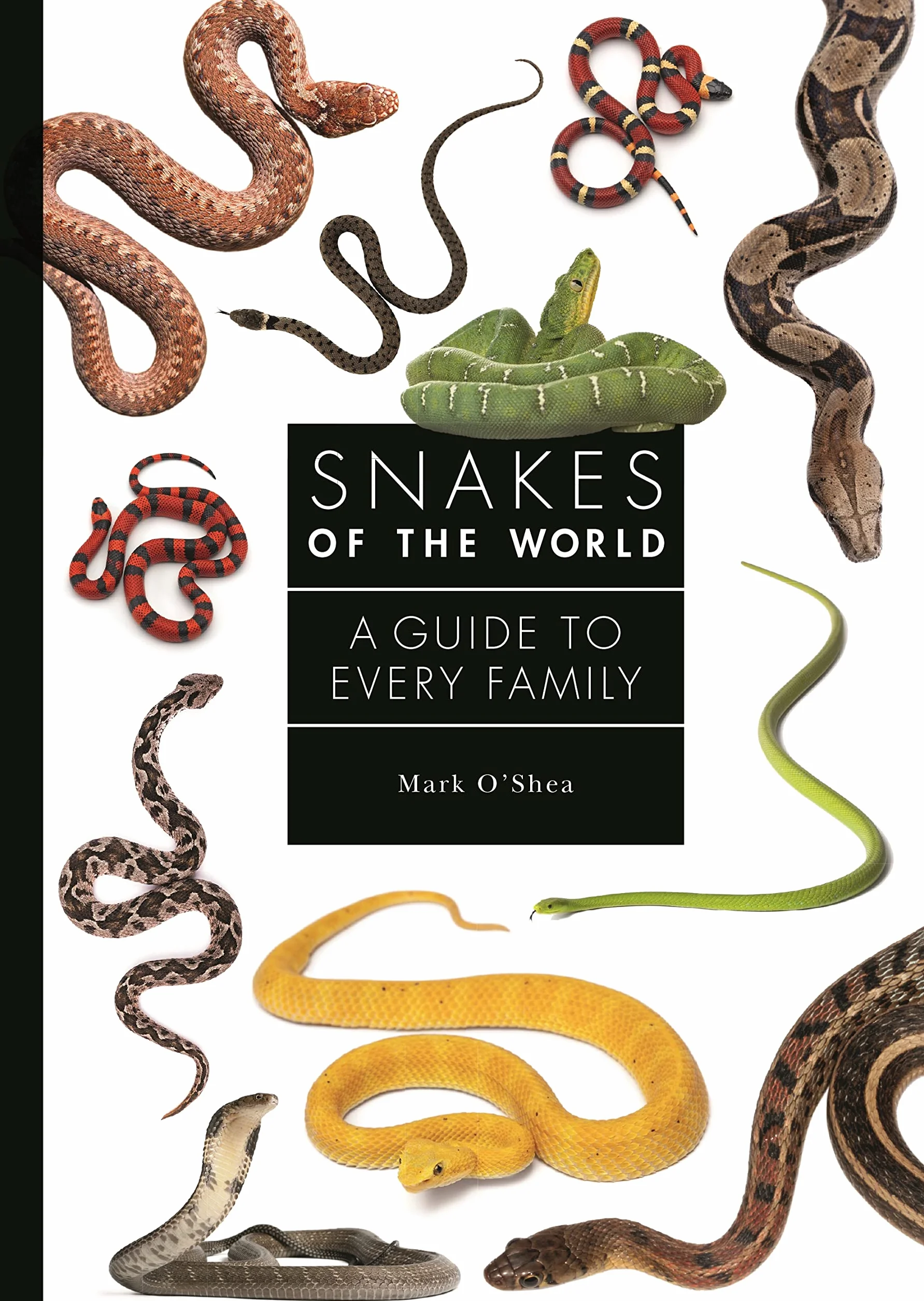 Snakes of the World: A Guide to Every Family: 6