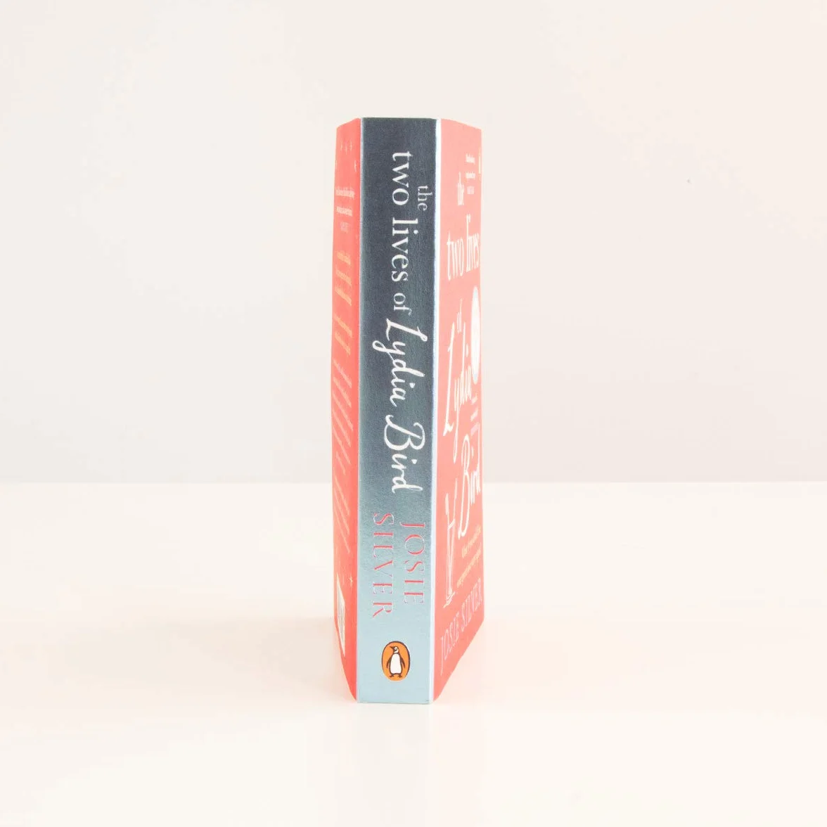 The Two Lives of Lydia Bird: A gorgeously romantic love story for anyone who has ever thought ‘What If?’