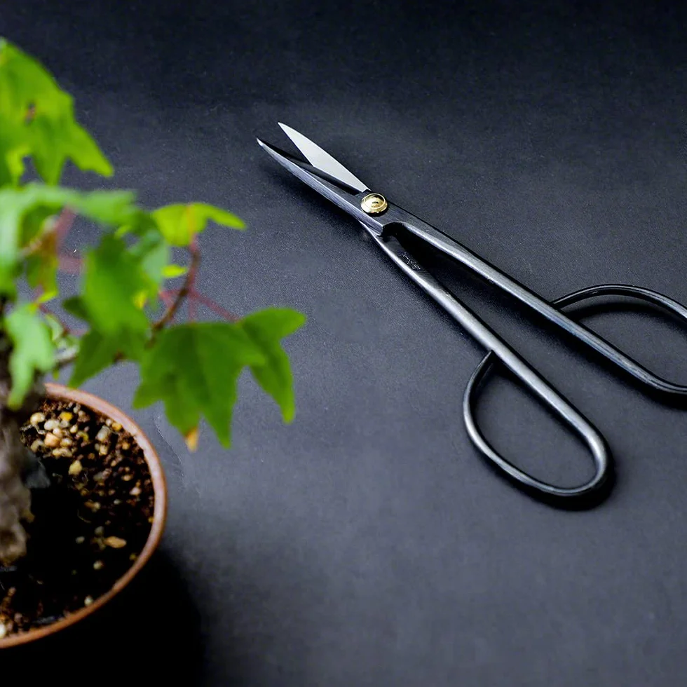 Wazakura Japońskie gałązki bonsai nożyczki 7 cali (180 mm) wykonane w Japonii - gałązka czarna