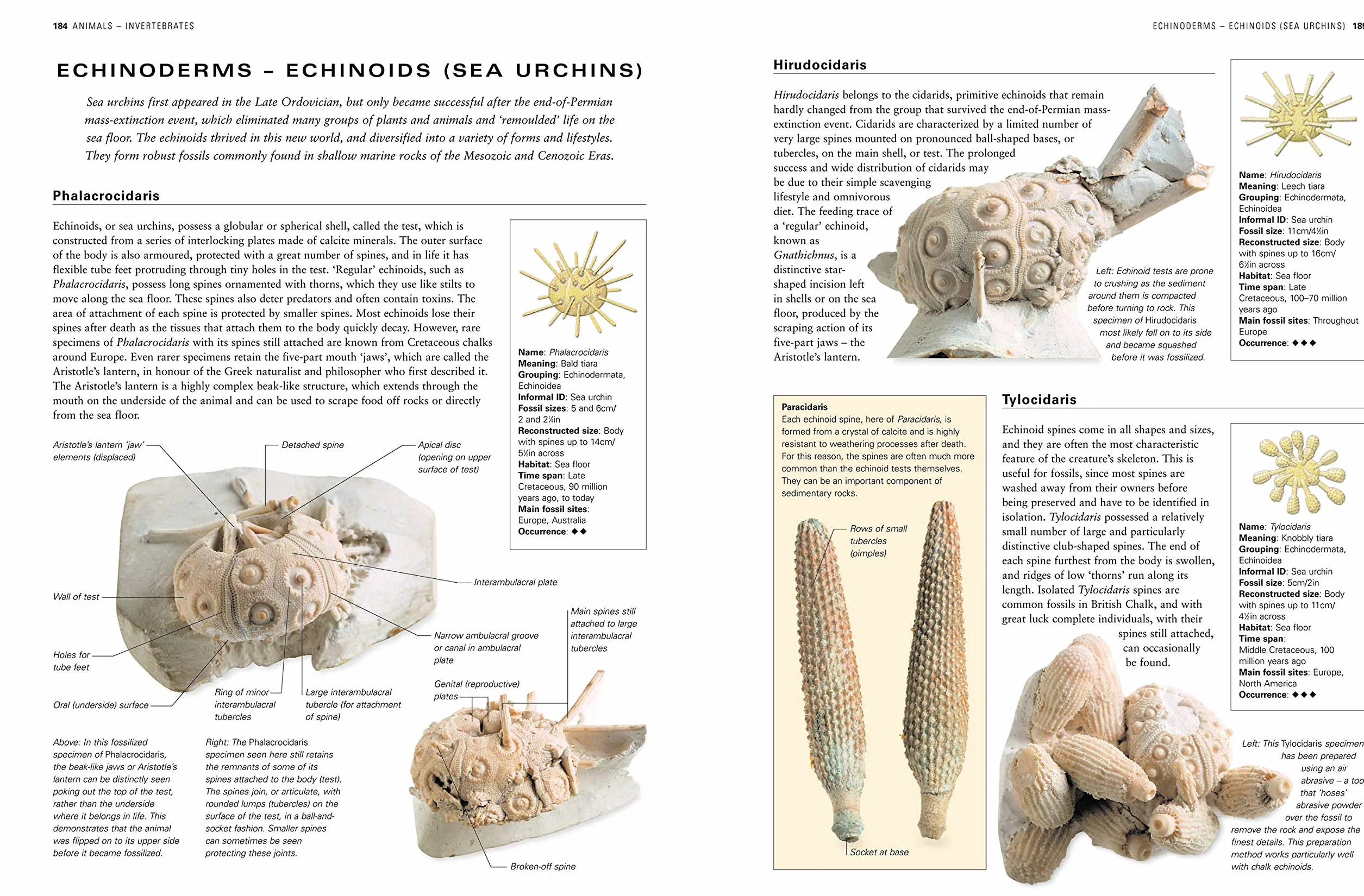 The Illustrated Guide to Fossils & Fossil Collecting: A Reference Guide to Over 375 Plant and Animal Fossils from Around the Globe and How to Identify Them, with Over 950 Photographs and Artworks