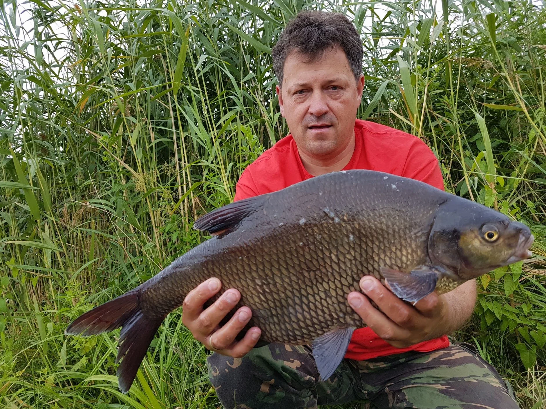 Winner Method Feeder Pellet 2mm 1kg Waniliowy Krem