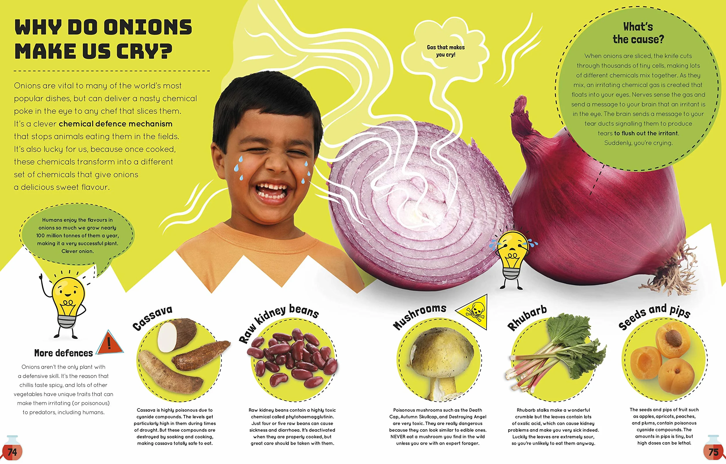 Science You Can Eat: Putting what we Eat Under the Microscope