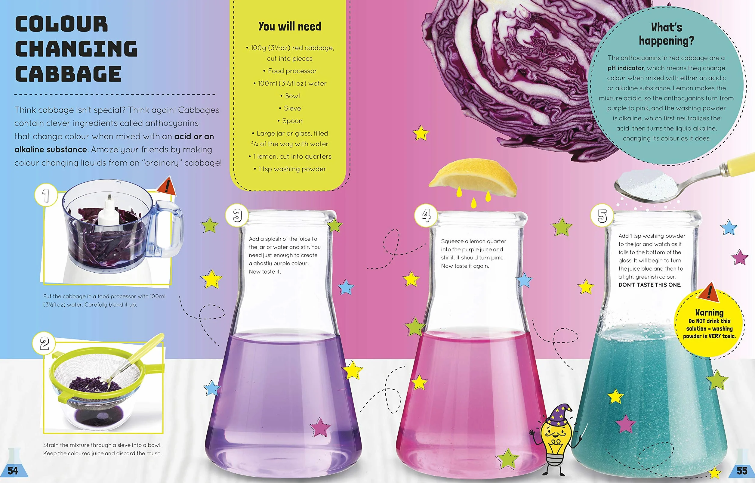 Science You Can Eat: Putting what we Eat Under the Microscope