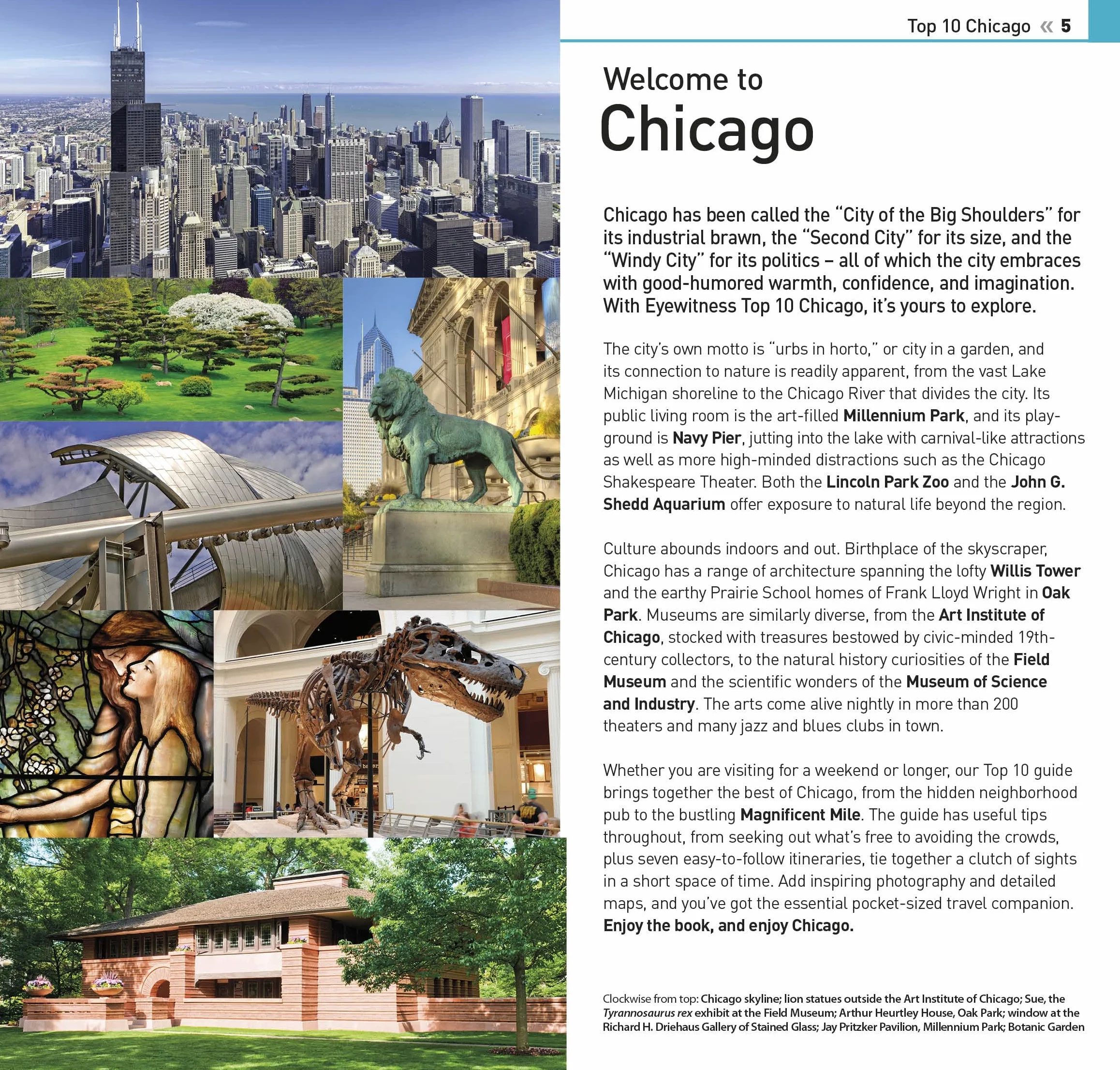 DK Eyewitness Top 10 Chicago