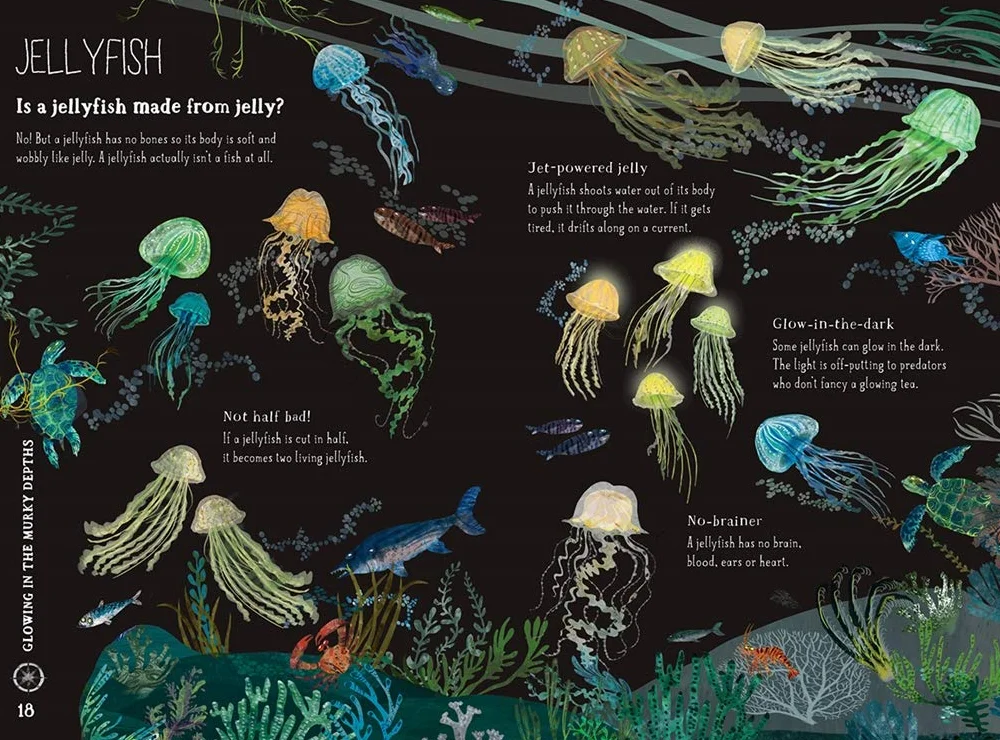 The Big Book of the Blue: Yuval Zommer: 0