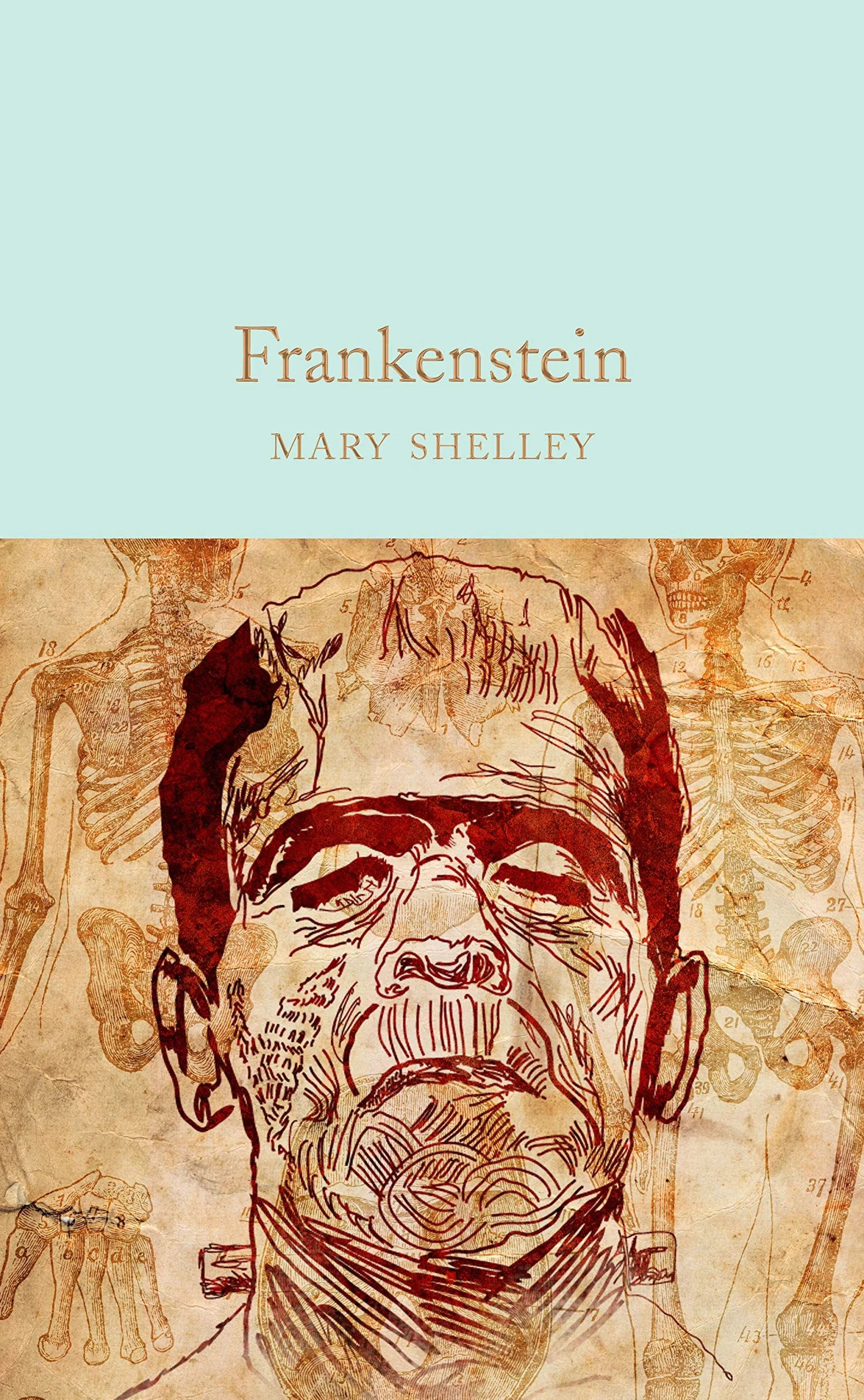 Frankenstein: The Modern Prometheus