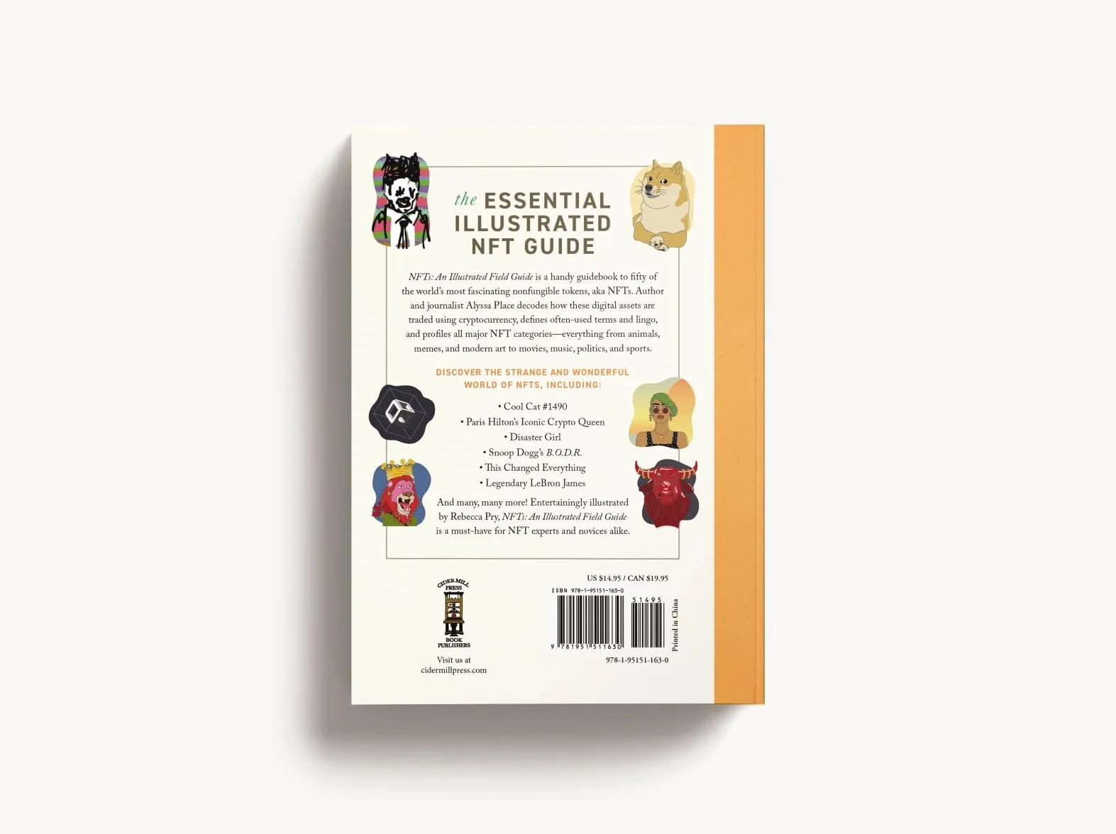Nfts: An Illustrated Field Guide