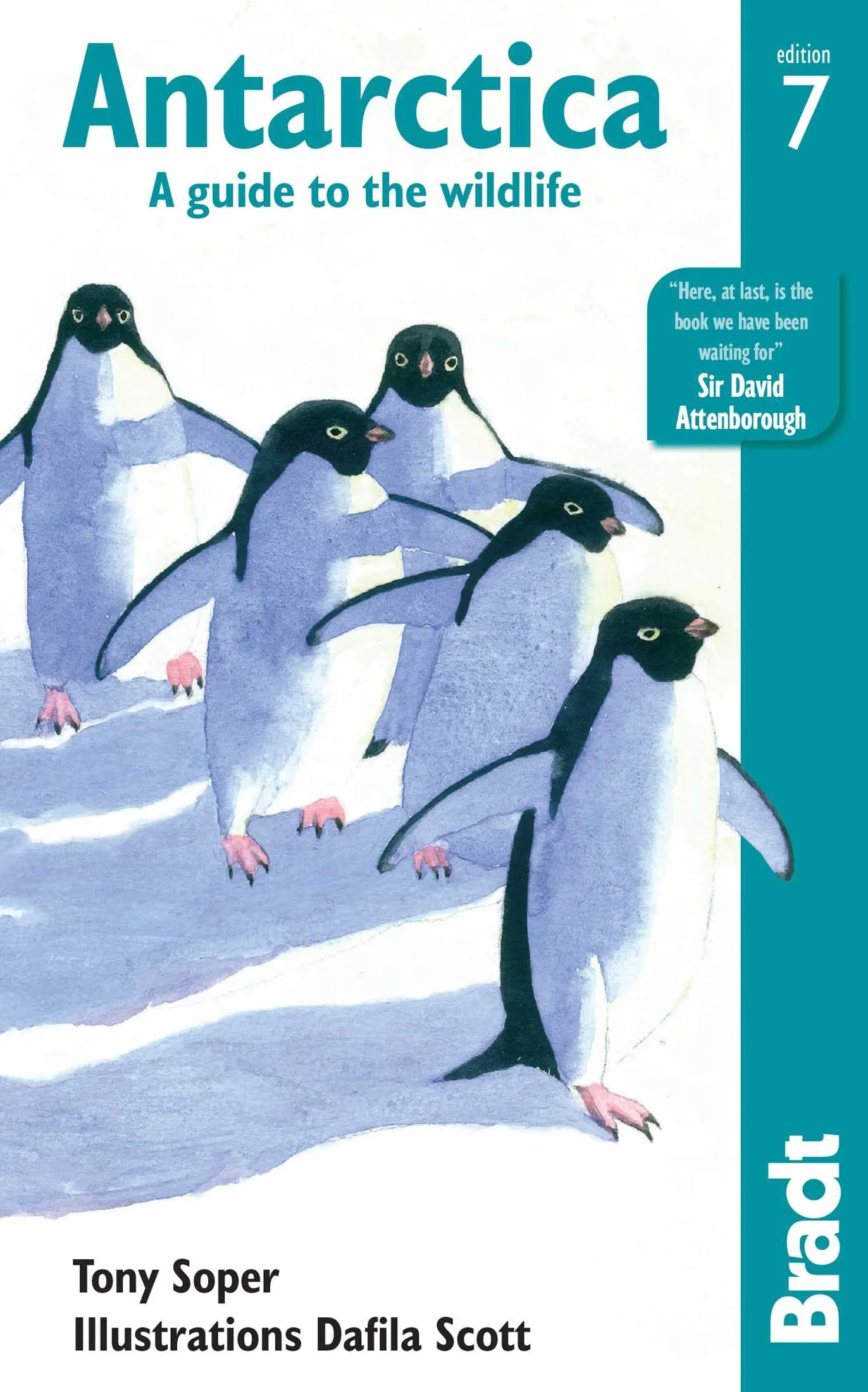 Antarctica wildlife: A Guide to the Wildlife